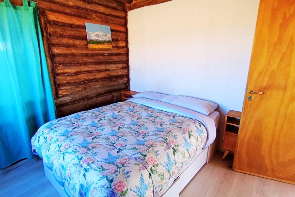 CASA NIDO, Cozy & warm cabin at Uspallata