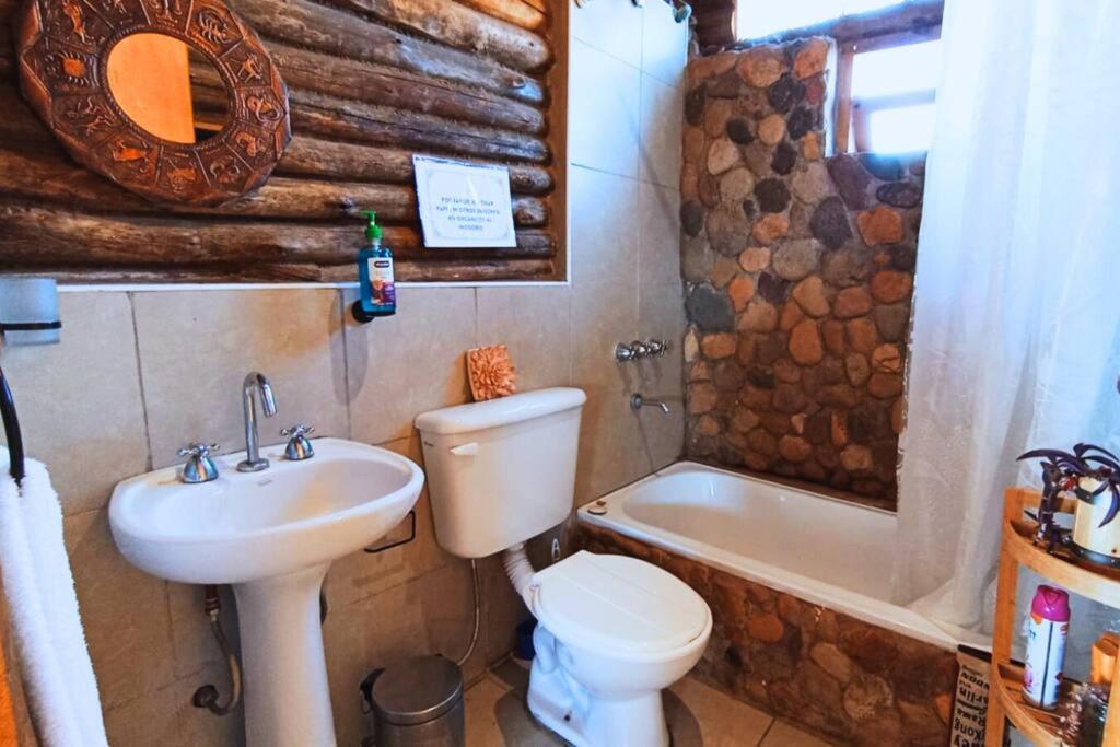 CASA NIDO, Cozy & warm cabin at Uspallata