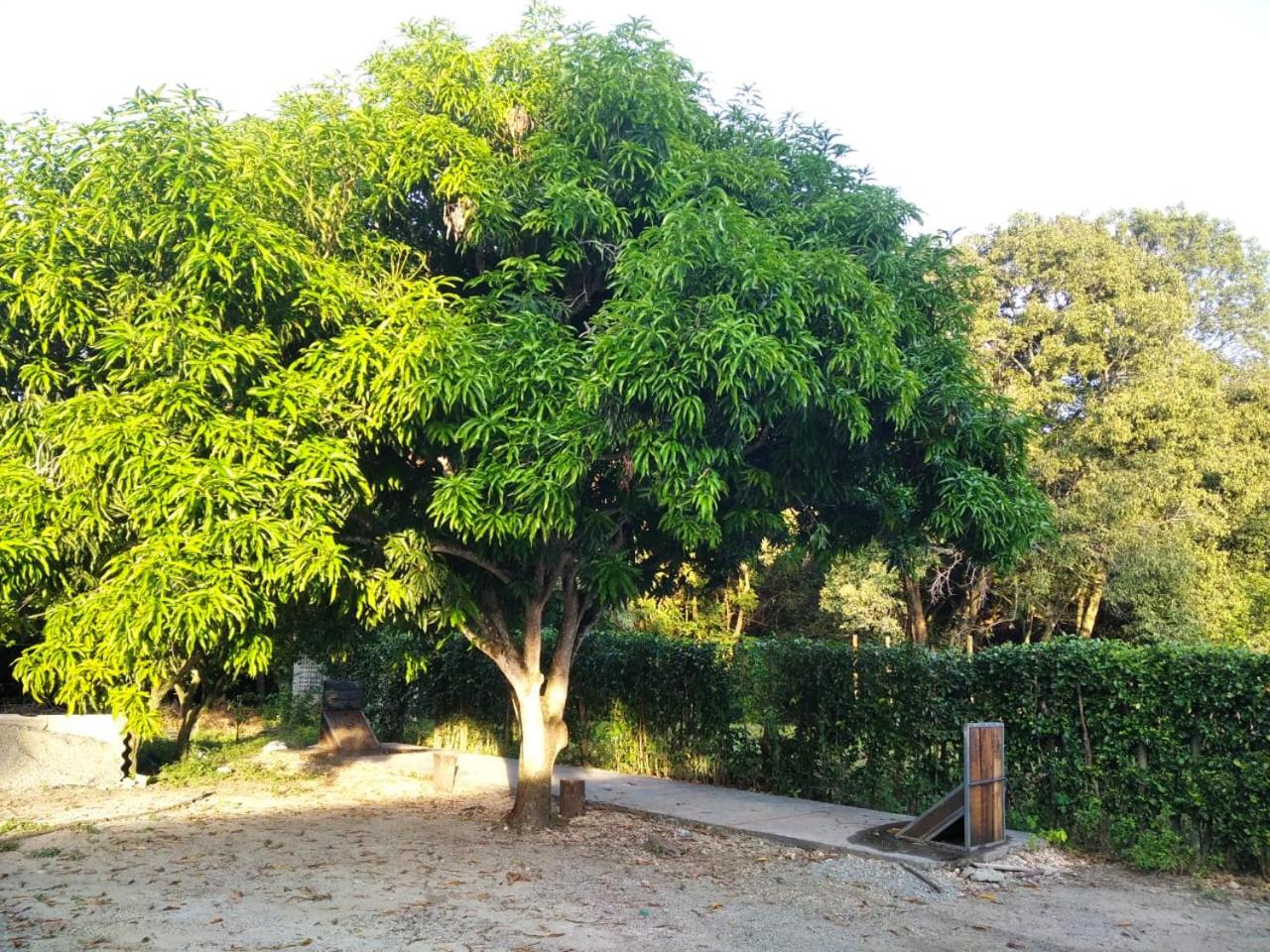 Casa de huespedes Pïpo