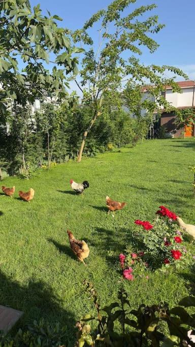 Escape to the peaceful countryside
