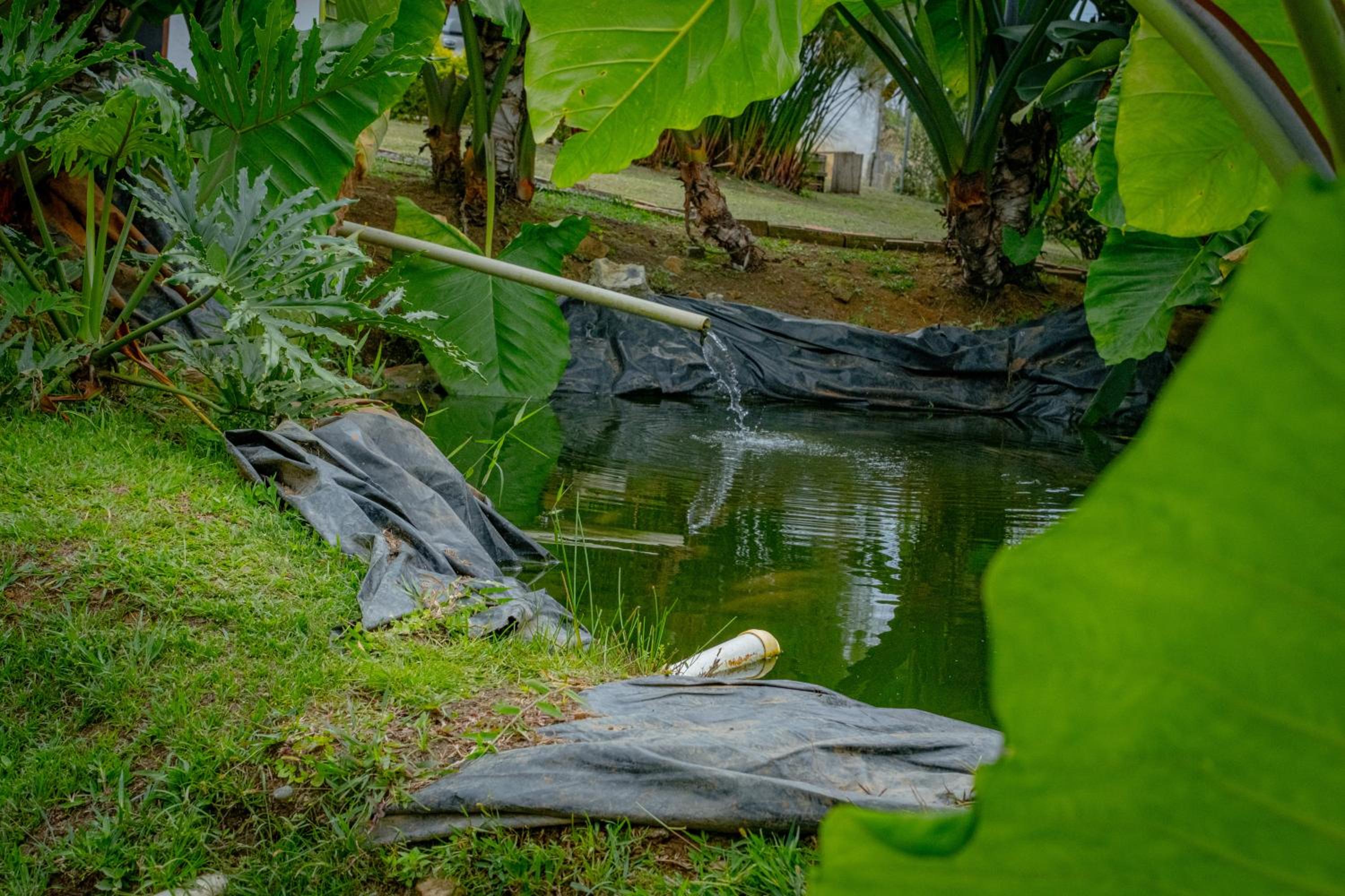Cabañas Finca Las Aguas
