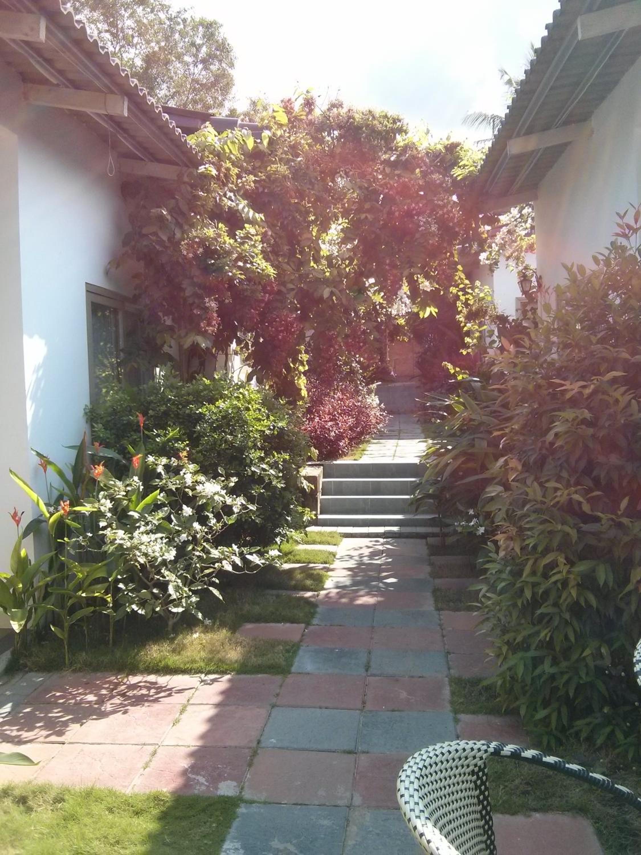 Sunshine Bungalow view 4