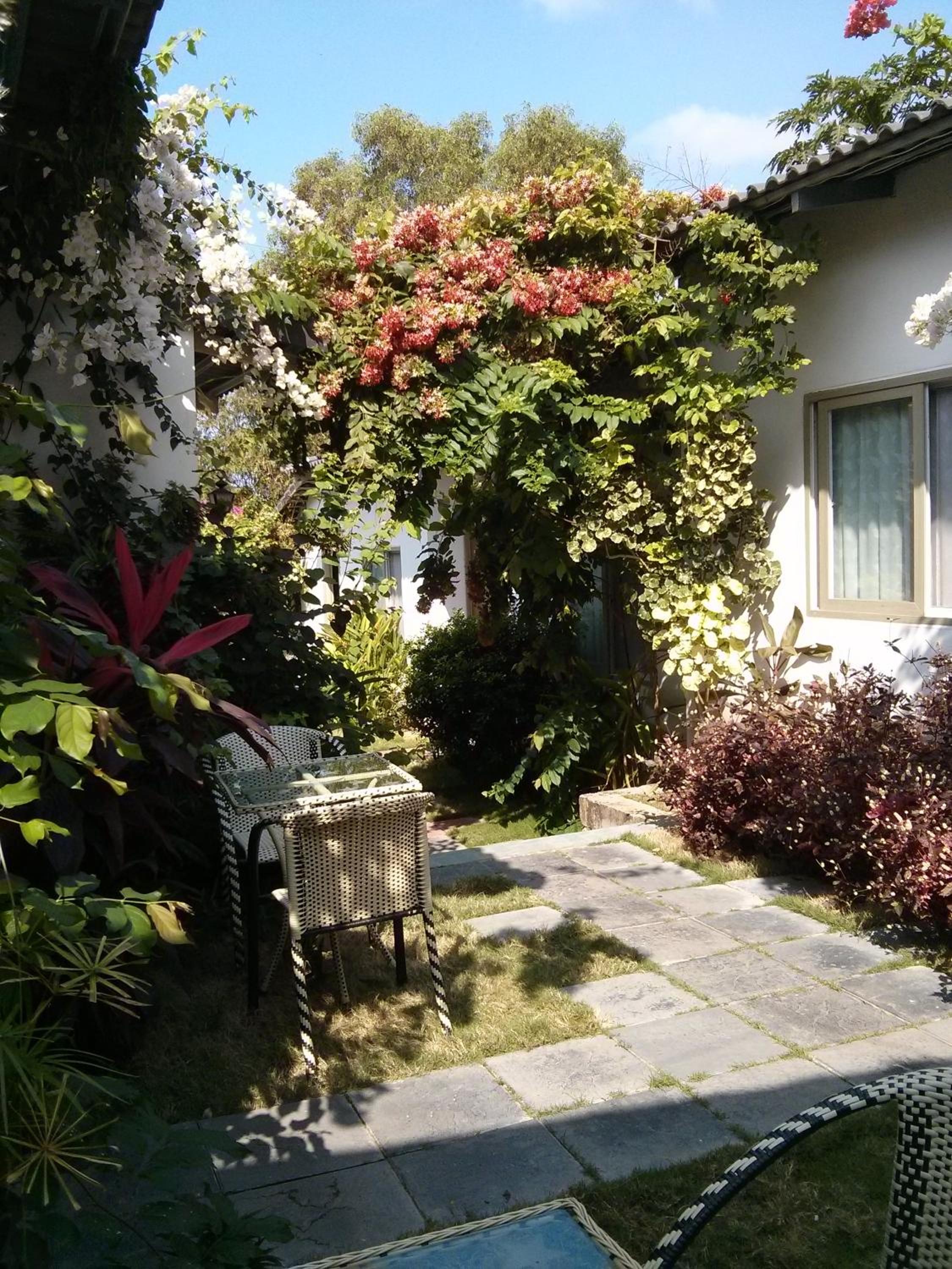 Photo 57