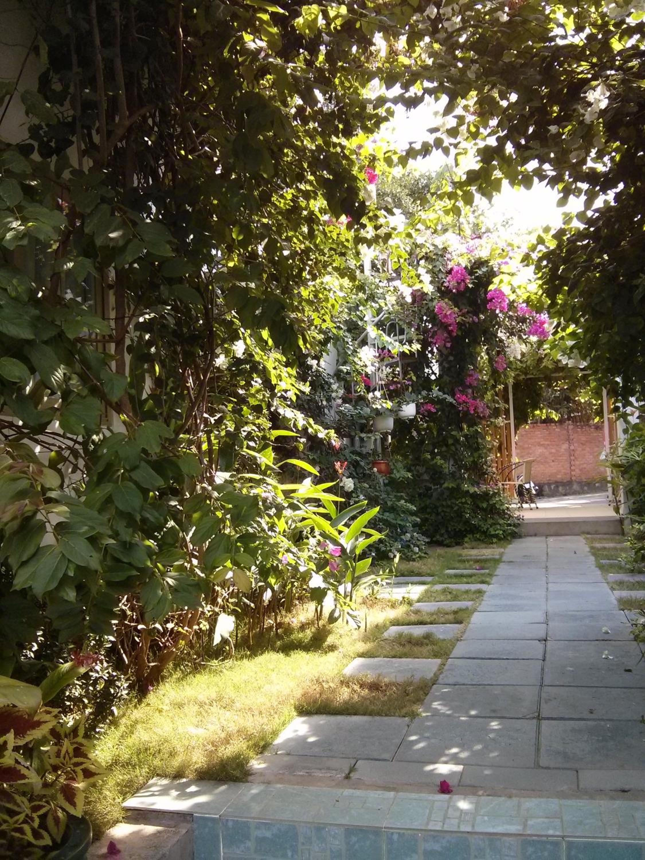 Photo 38