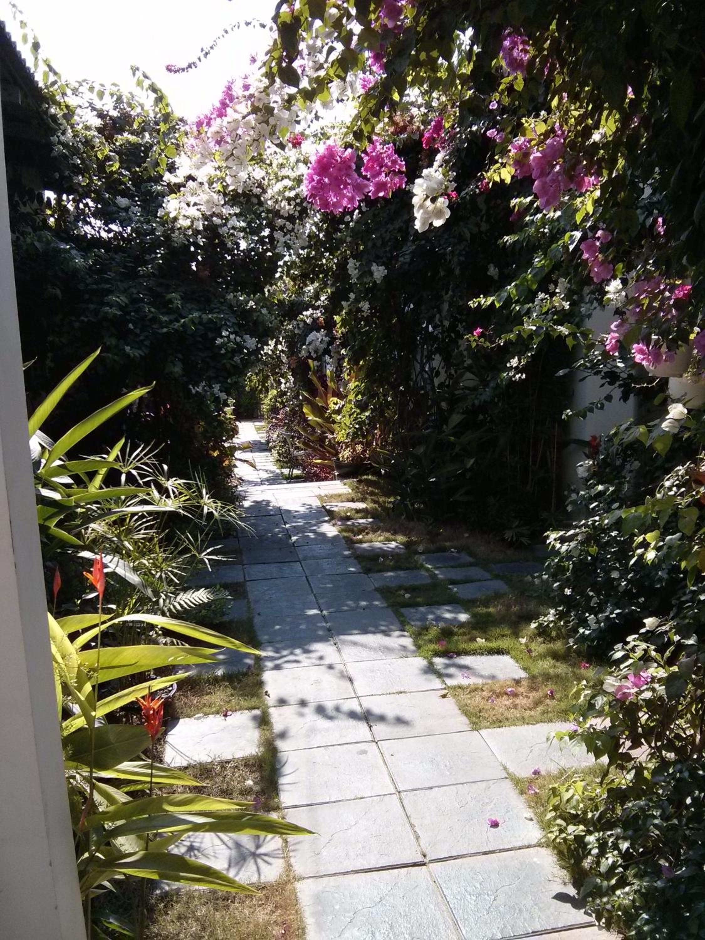 Photo 37
