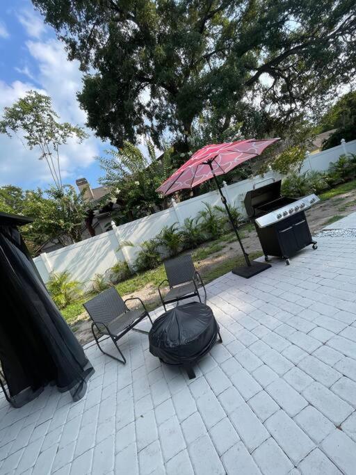 Tampa Vacations - Lux 2 King Suite Pool Oasis TampaUSF,BuschGardens - Property Image 27