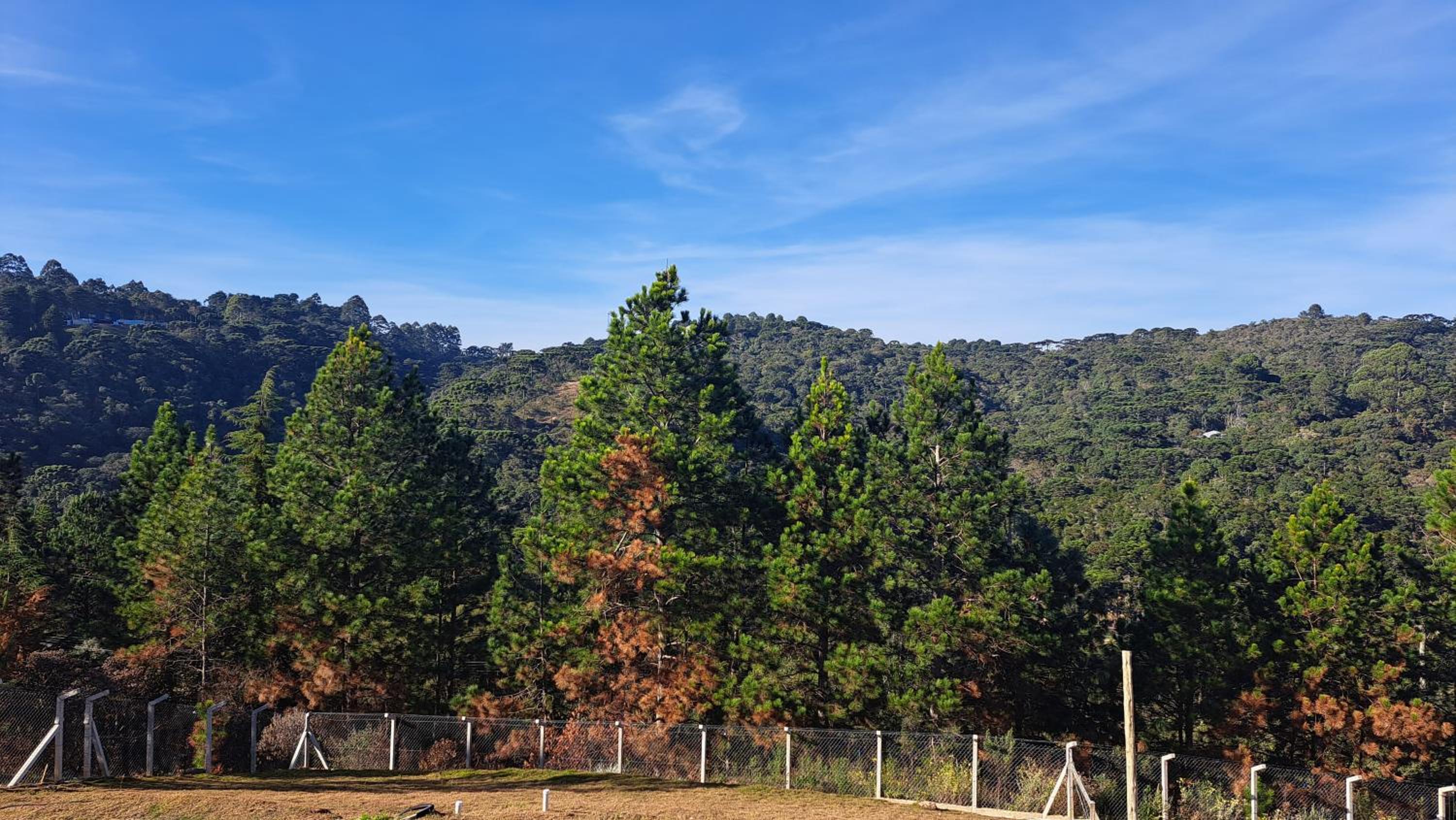 Chalé Luz do Luar Romantismo e uma linda vista
