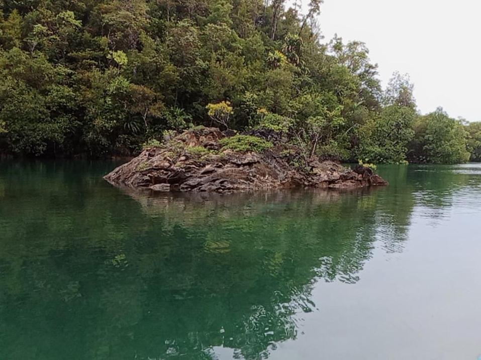 Risen Raja Ampat view 5