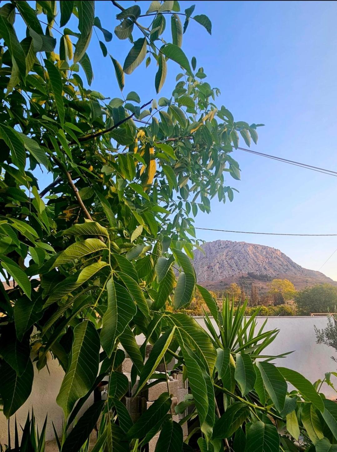 Grace and Harmony of Ancient Corinth view 4