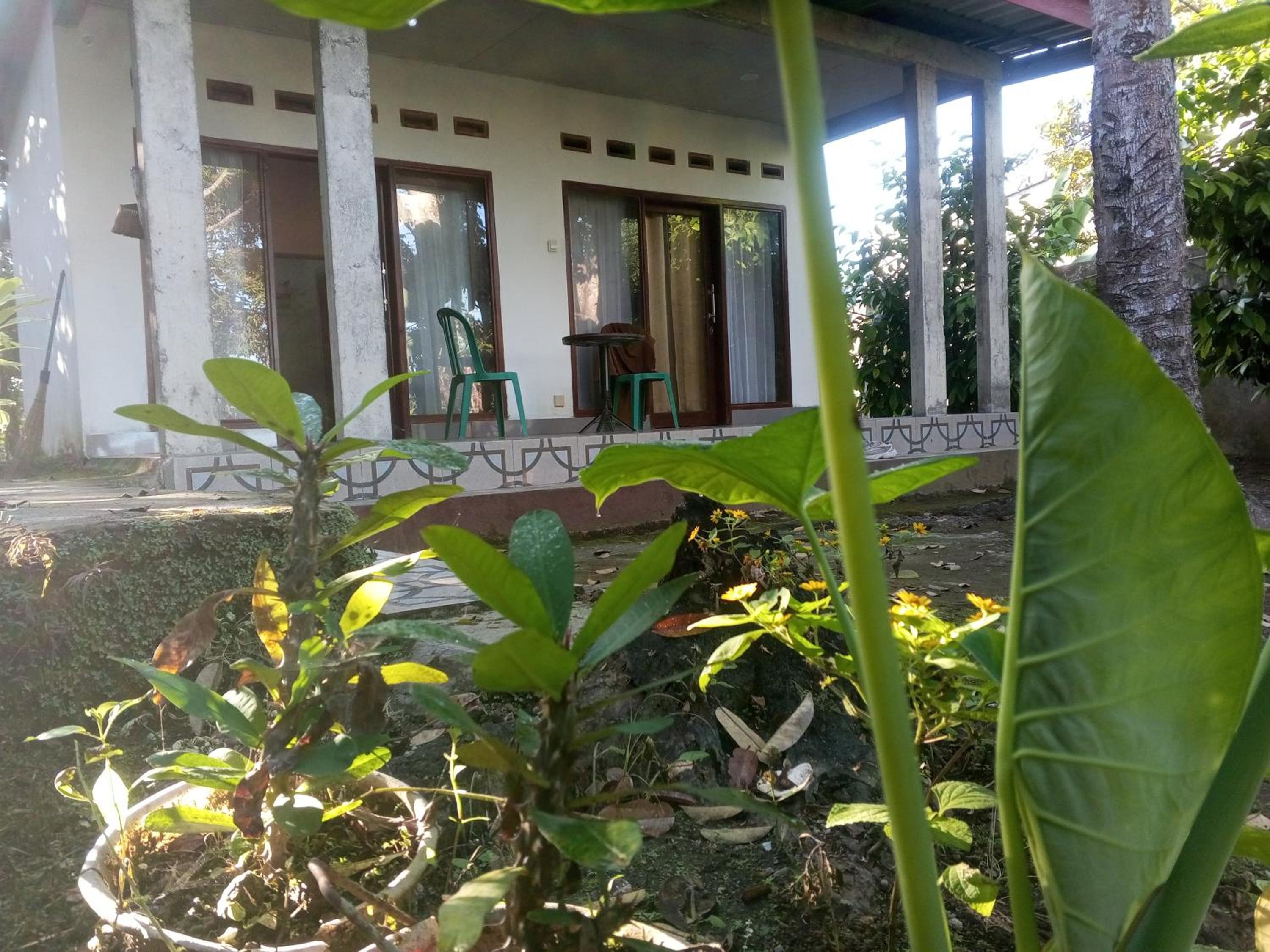 Photo 6