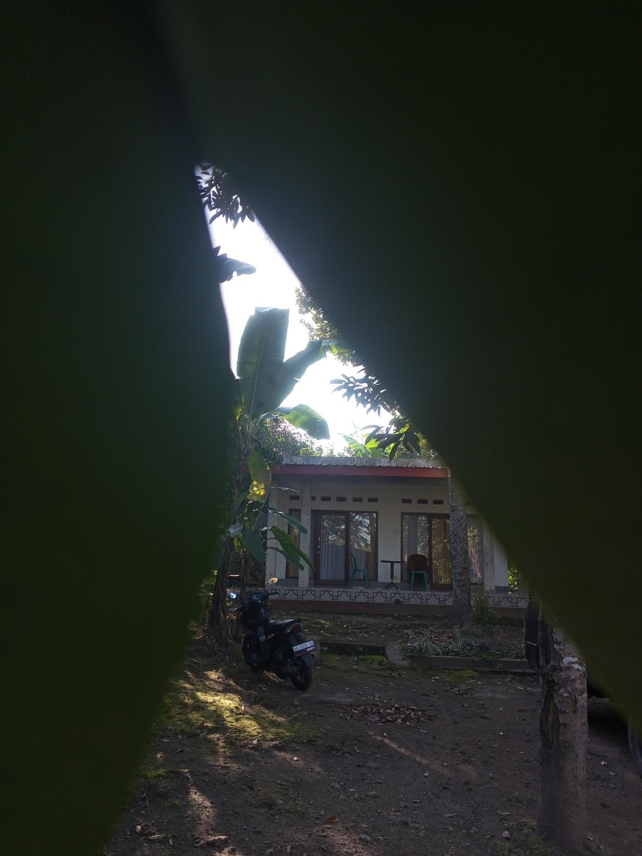 Zian guest house view 2