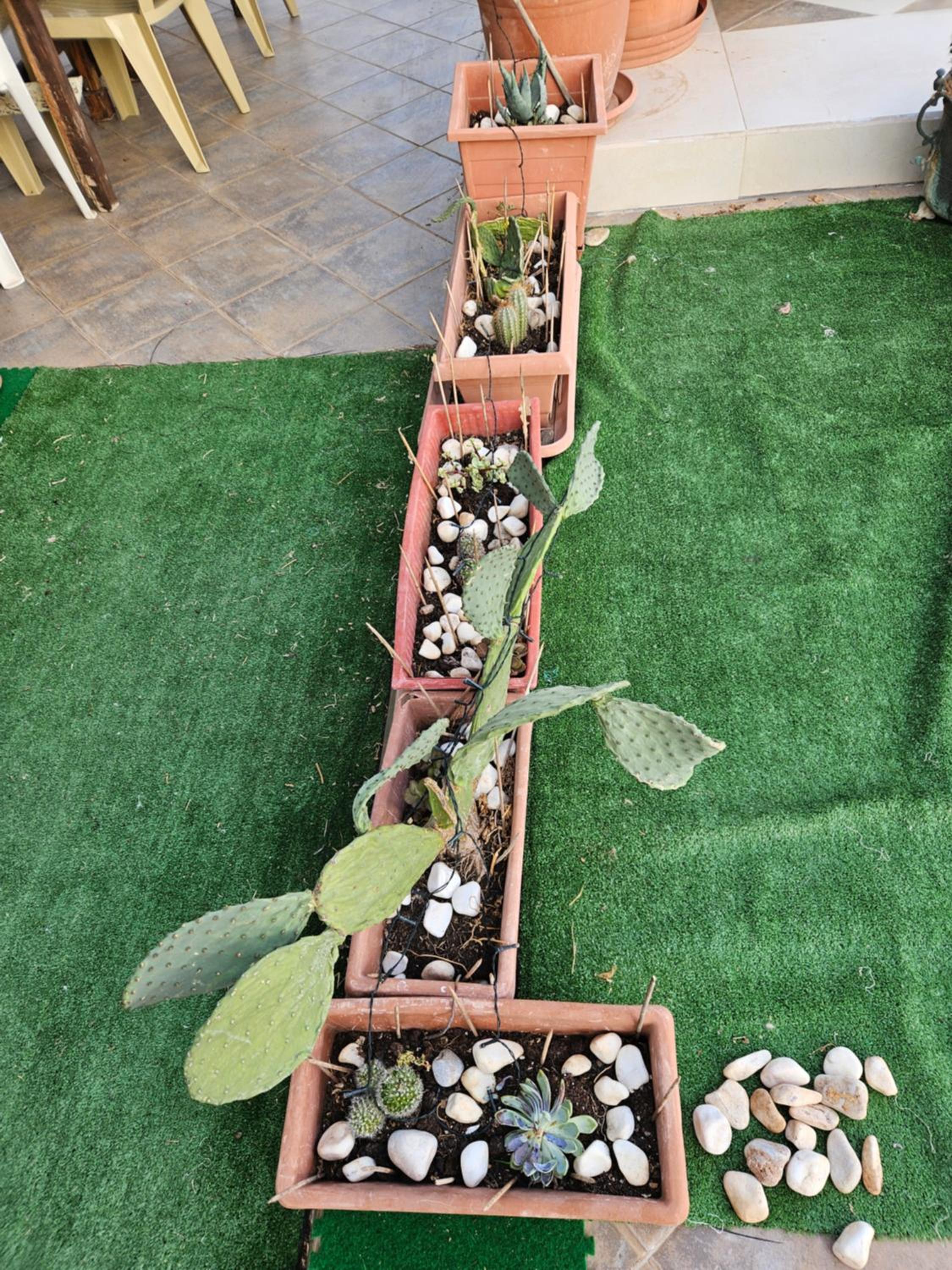 Photo 35