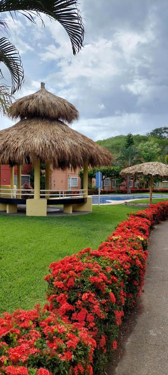 Ararivs Ixtapa Zihuatanejo