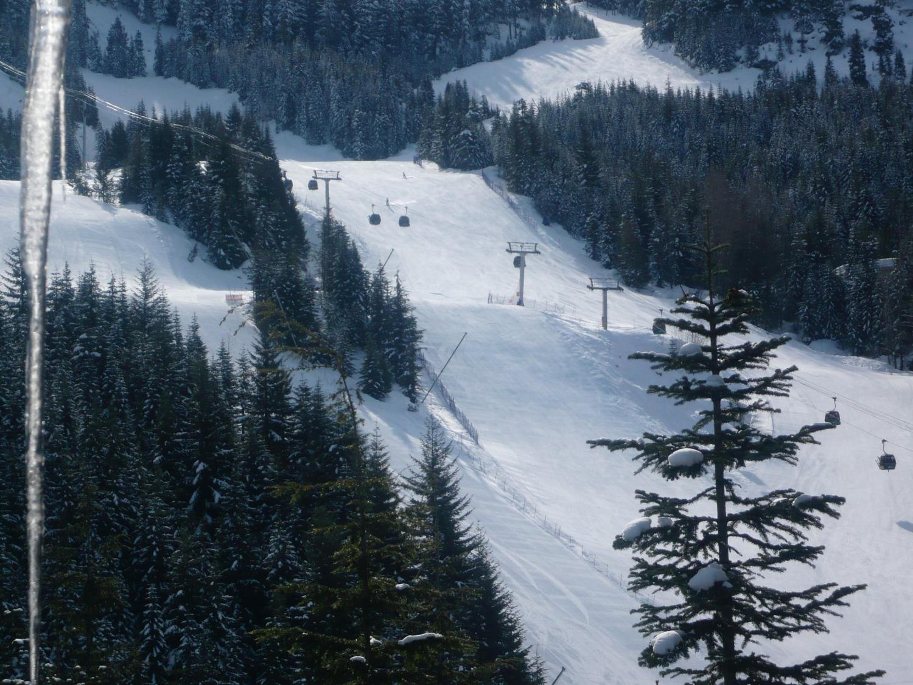 Whistler Ski In Ski Out