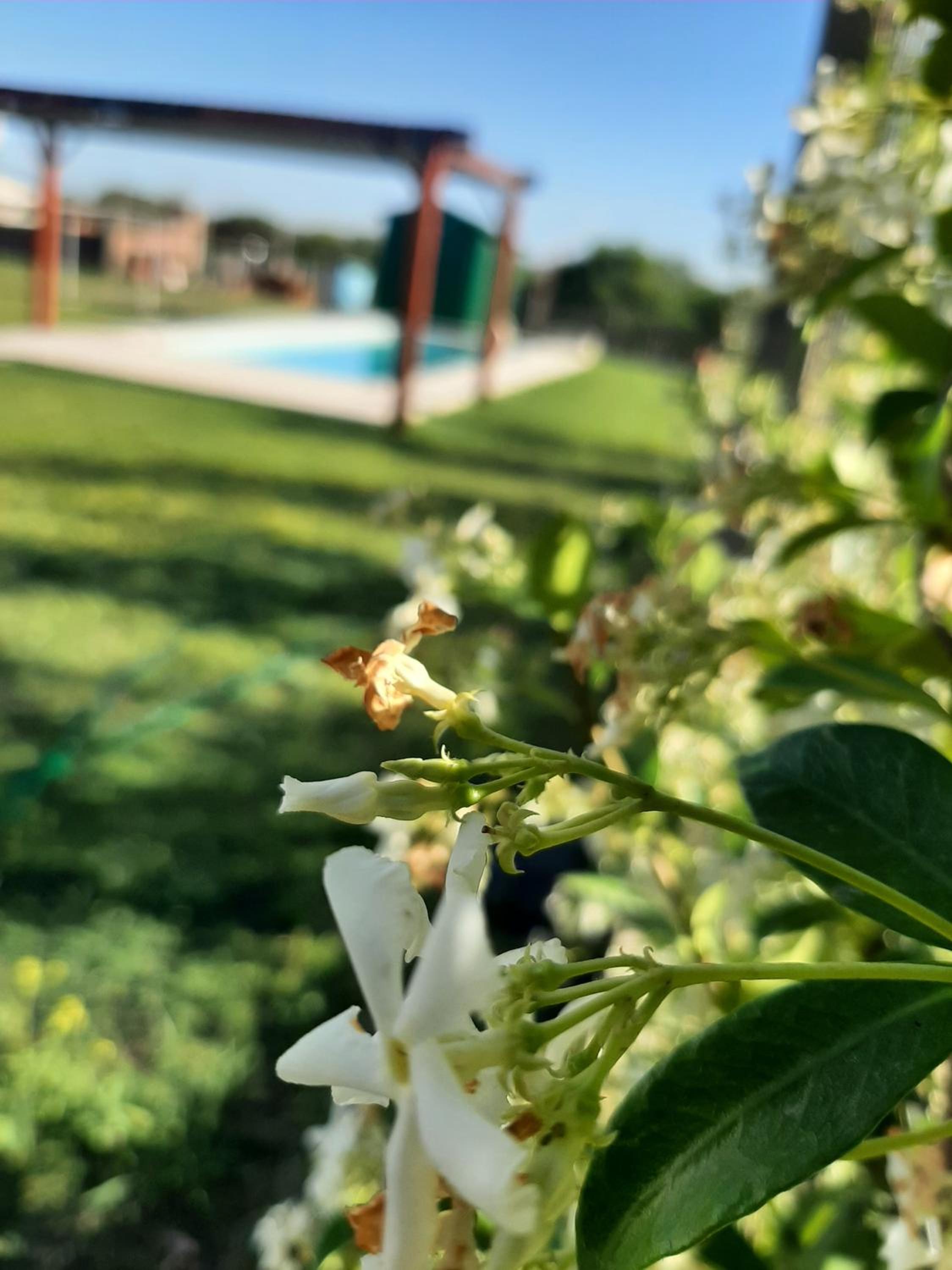 Casa Quinta C pil max 6 Pers solo Estdías Familiar no Fiestas EN ORO VERDE