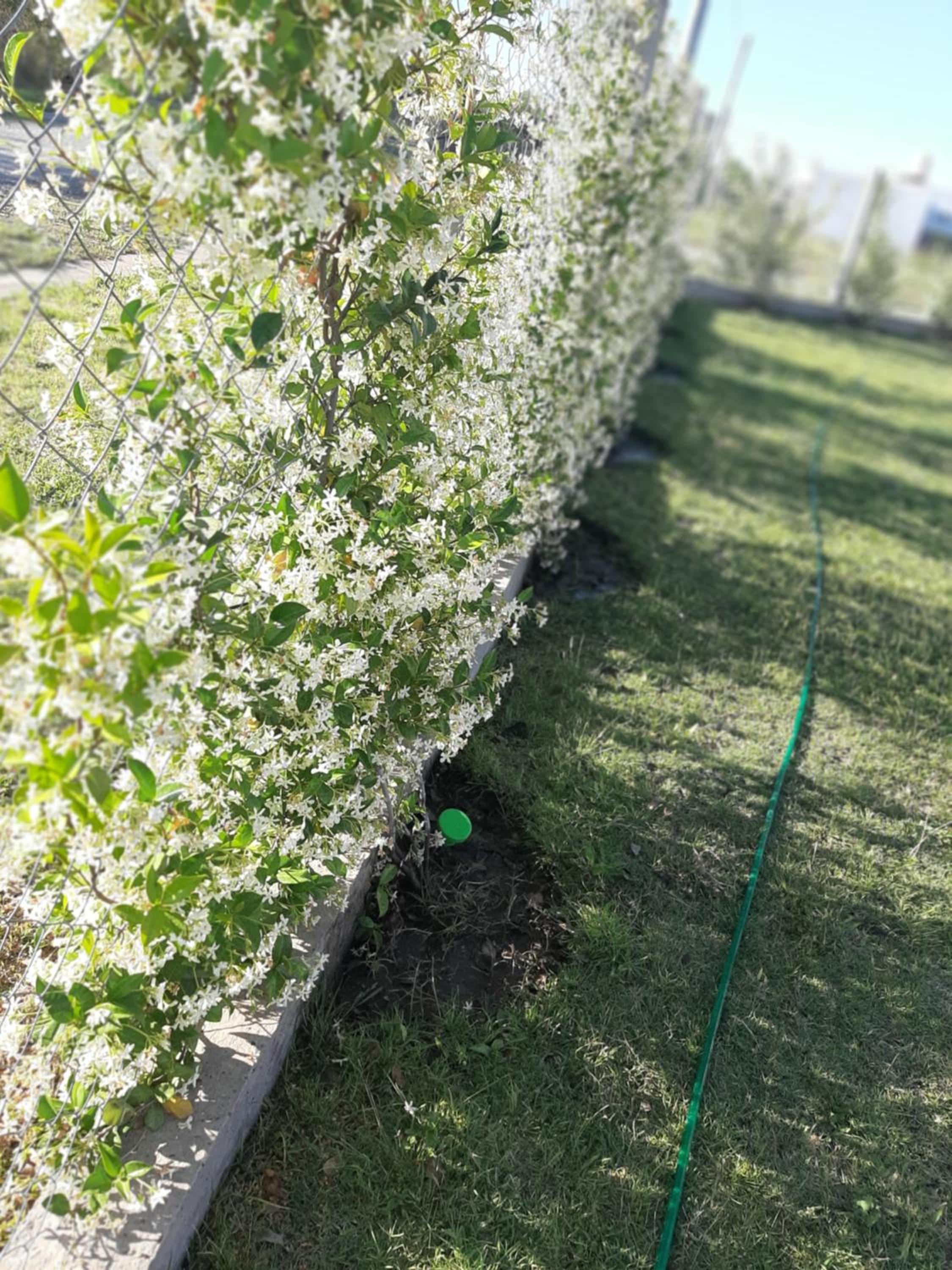 Casa Quinta C pil max 6 Pers solo Estdías Familiar no Fiestas EN ORO VERDE