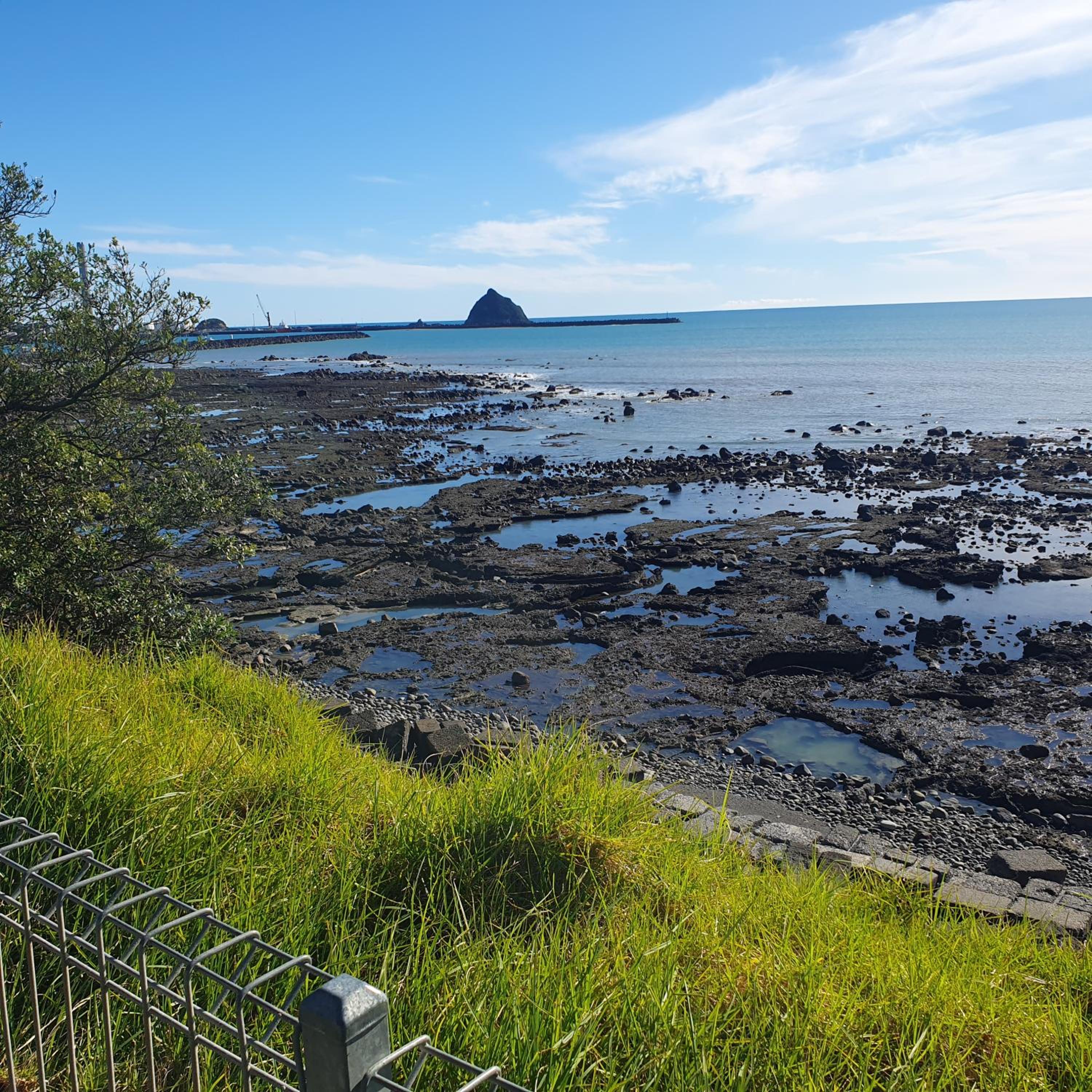 Kawaroa B&B view 5