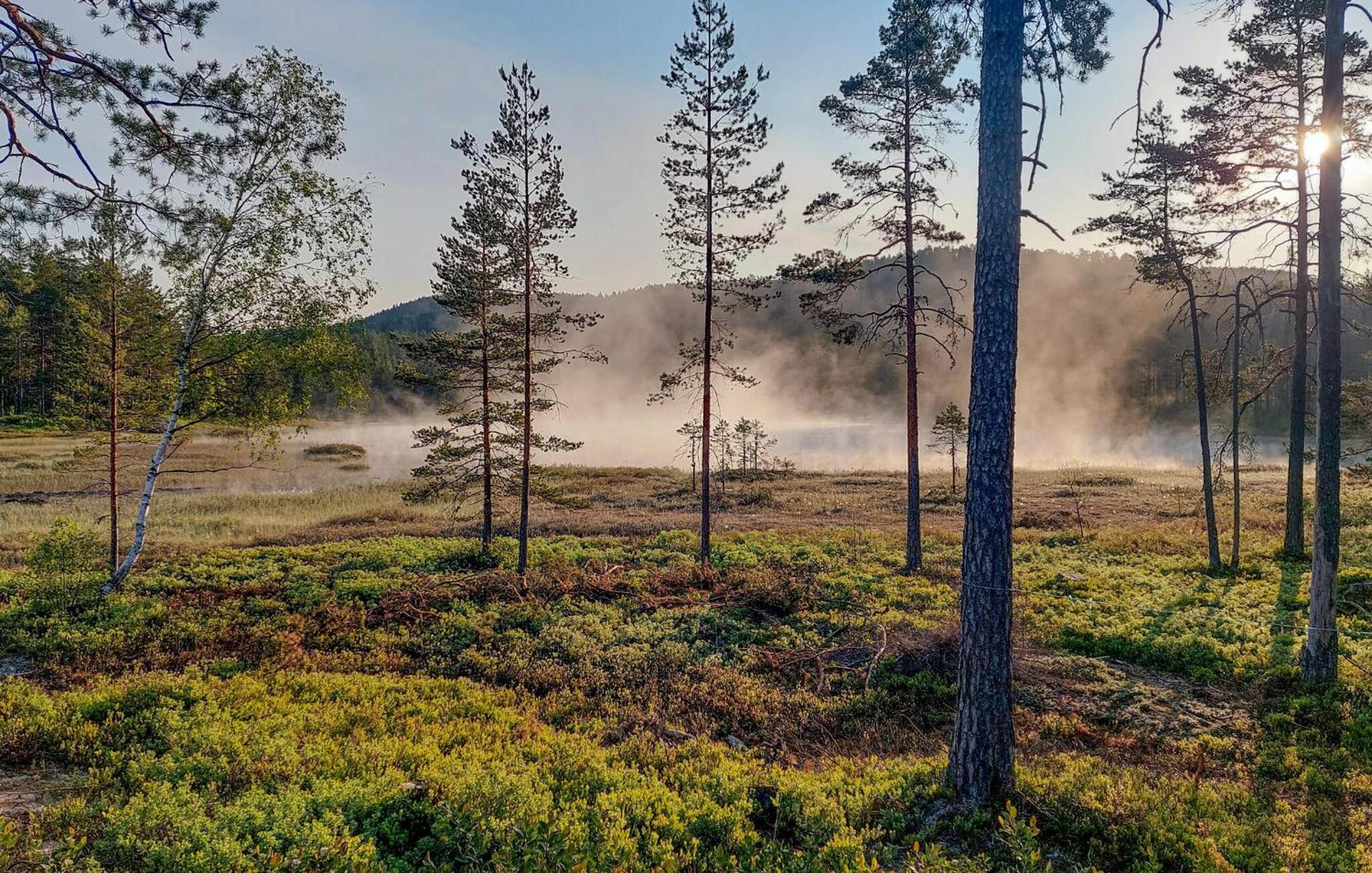 Lovely Home In Vegårshei With Sauna