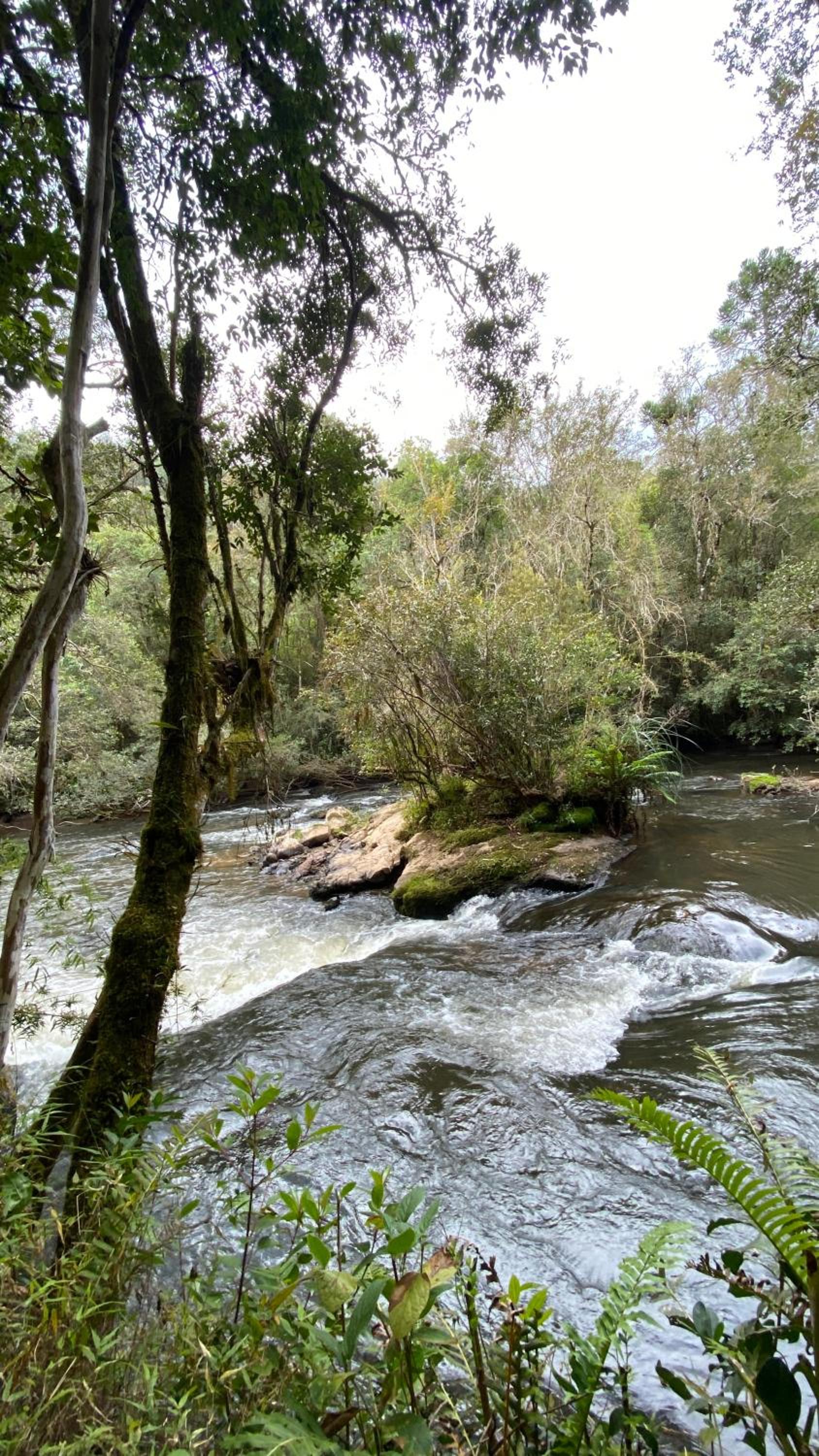 Pousada Recanto do Sauá - Monte Verde