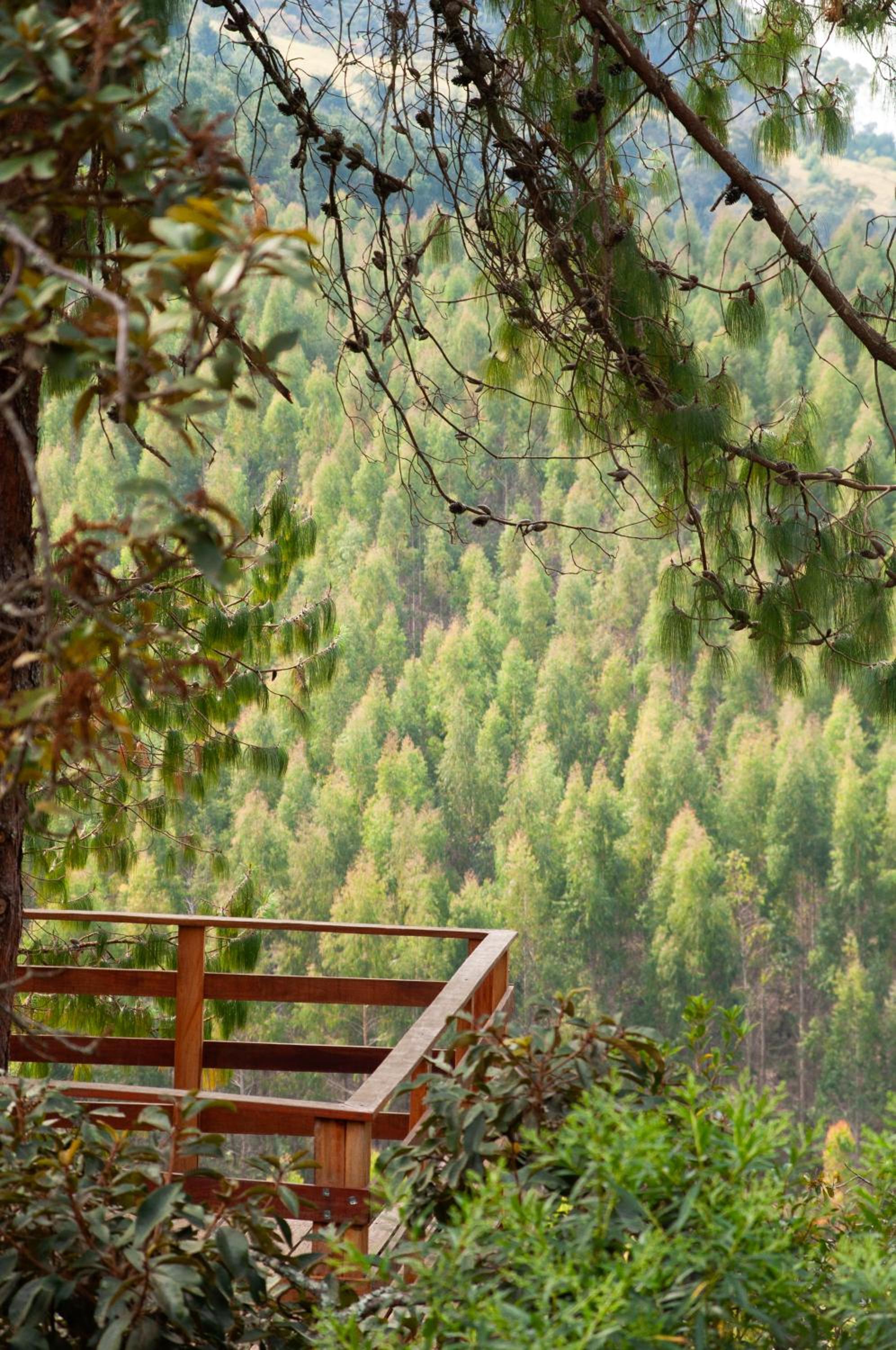 Pousada Recanto do Sauá - Monte Verde