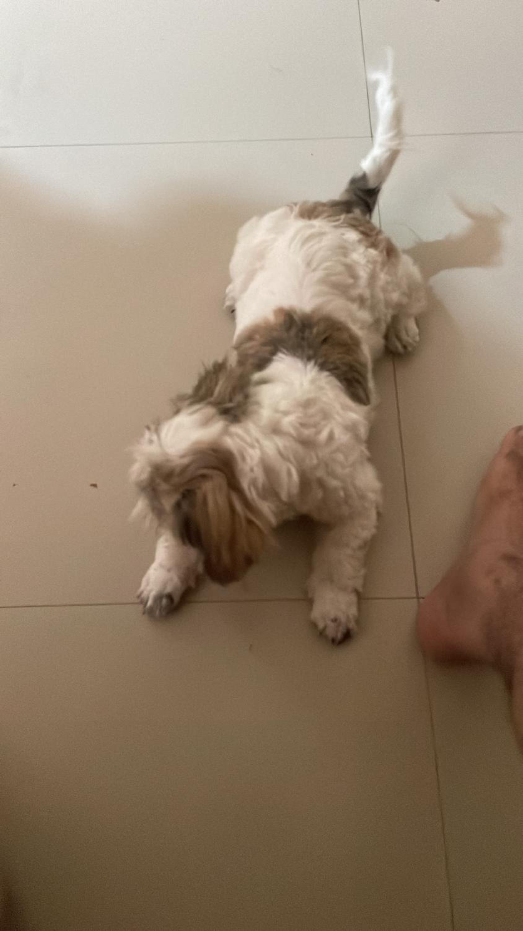 travoyoga