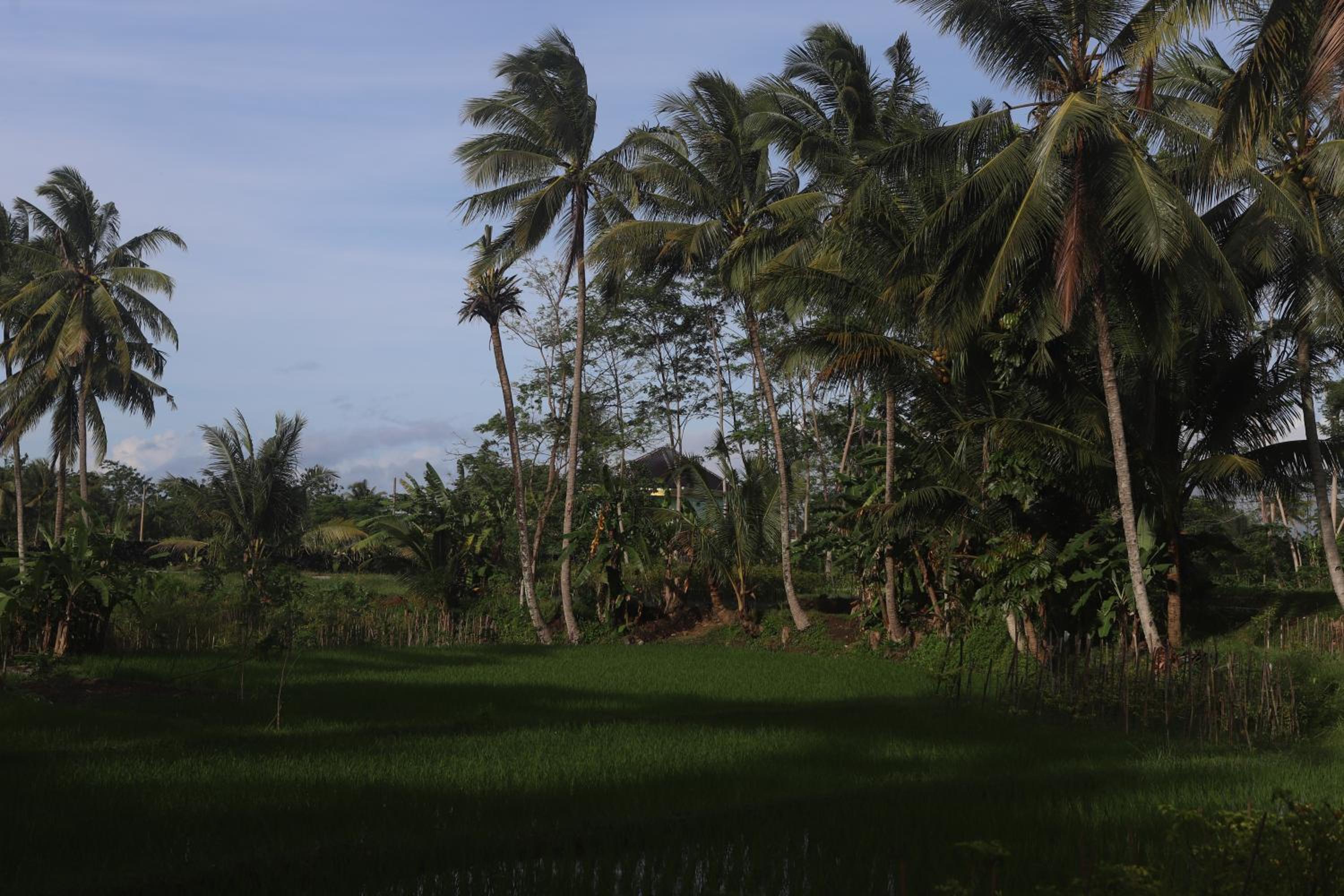 Homestay BanyuAsri Rejosari