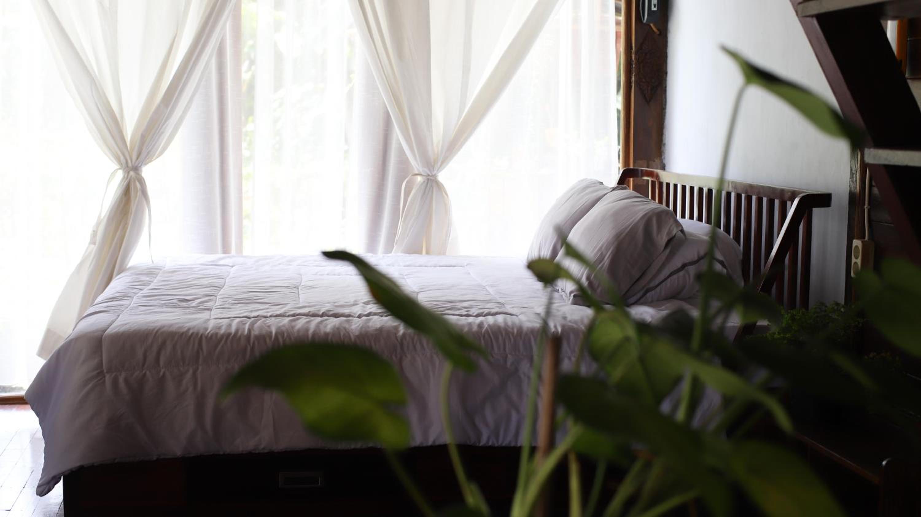 Homestay BanyuAsri Rejosari