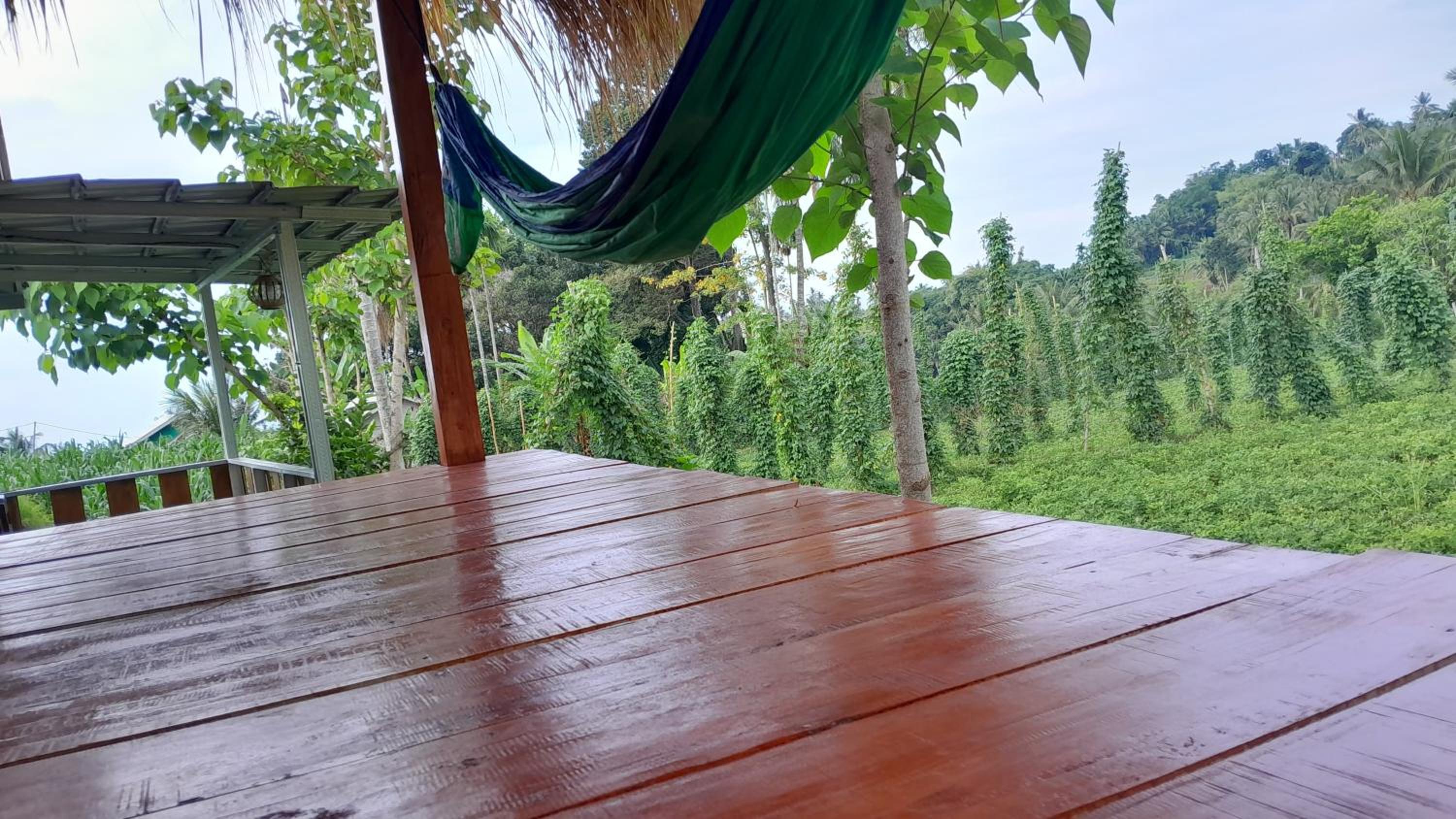 Bayan Exotic Homestay