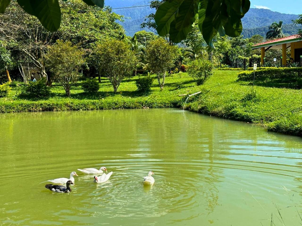 El Ensueño Ecohostal & Glamping
