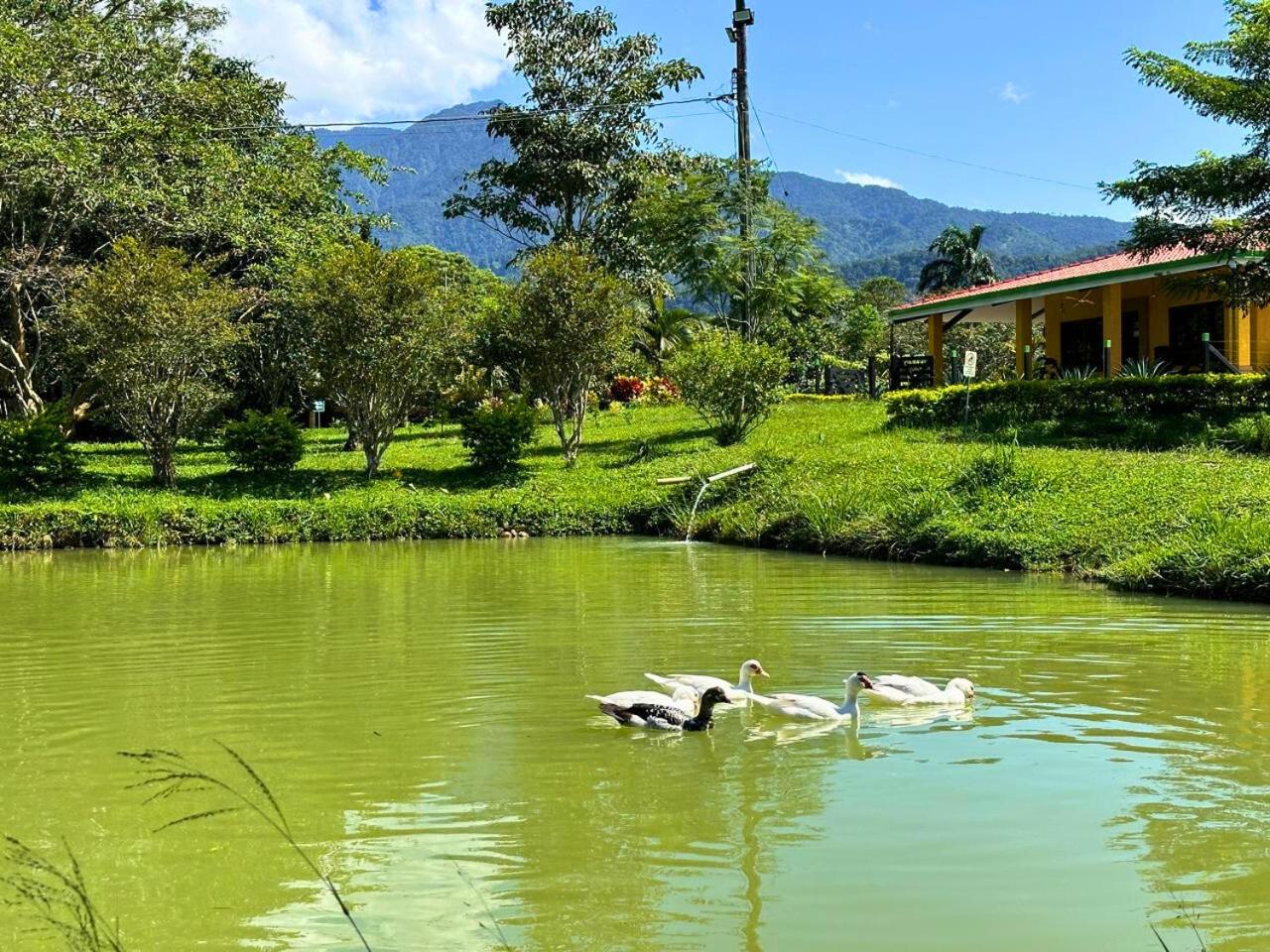 El Ensueño Ecohostal & Glamping