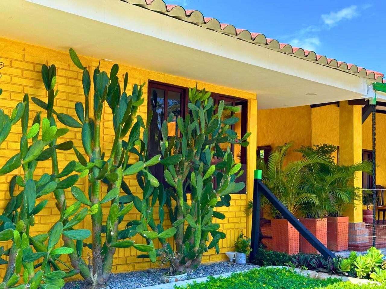 El Ensueño Ecohostal & Glamping