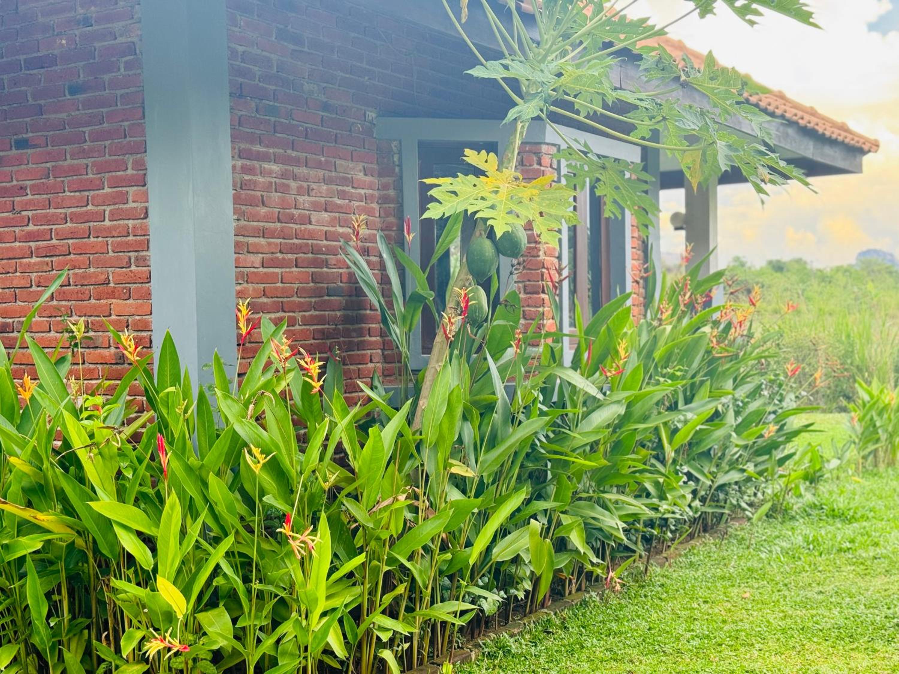 Foresta Resort Sigiriya view 4