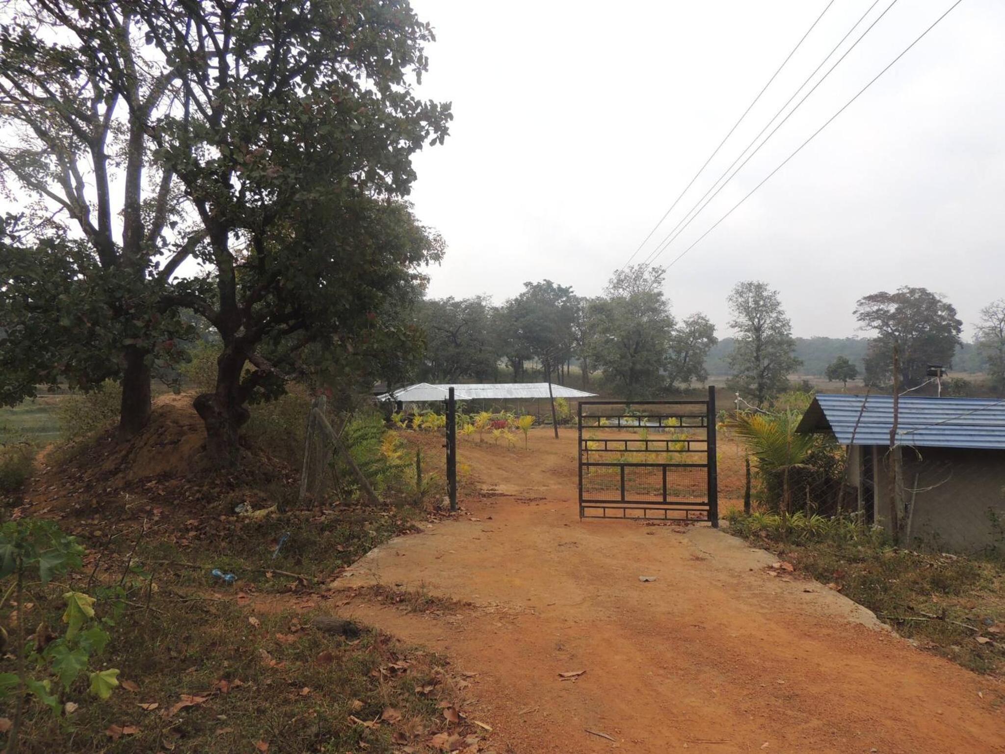 Room in Farmhouse - Dandeli Aura - Accommodation Only view 5