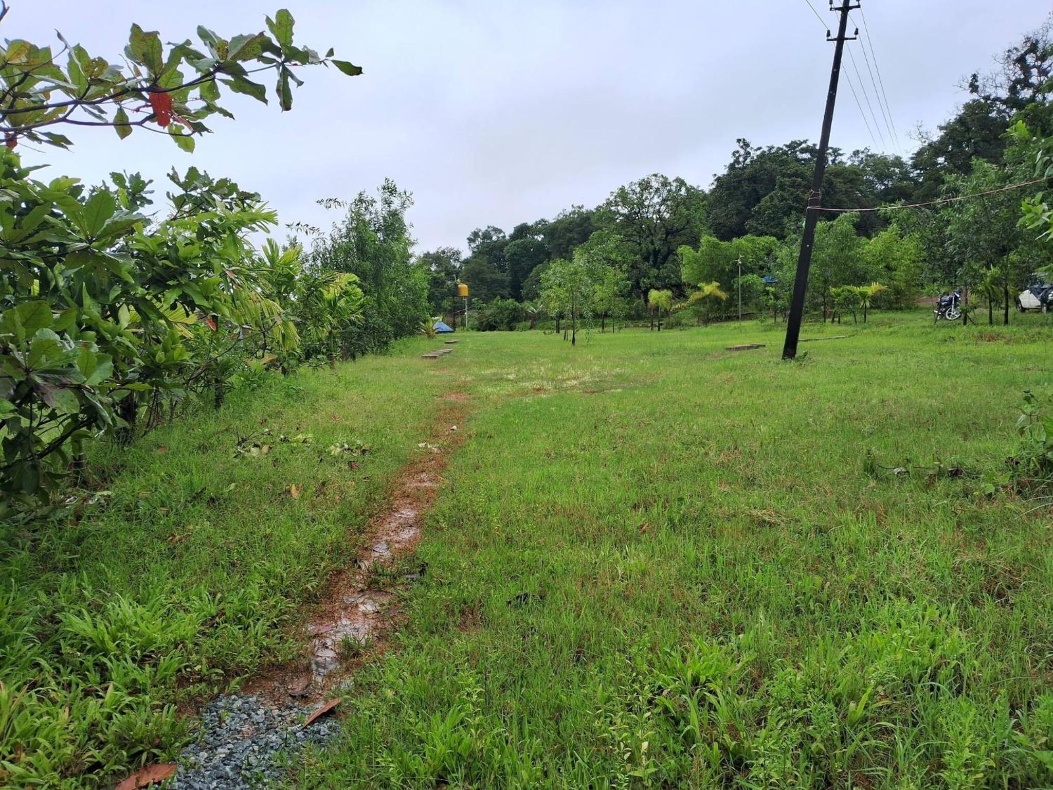 Photo 22