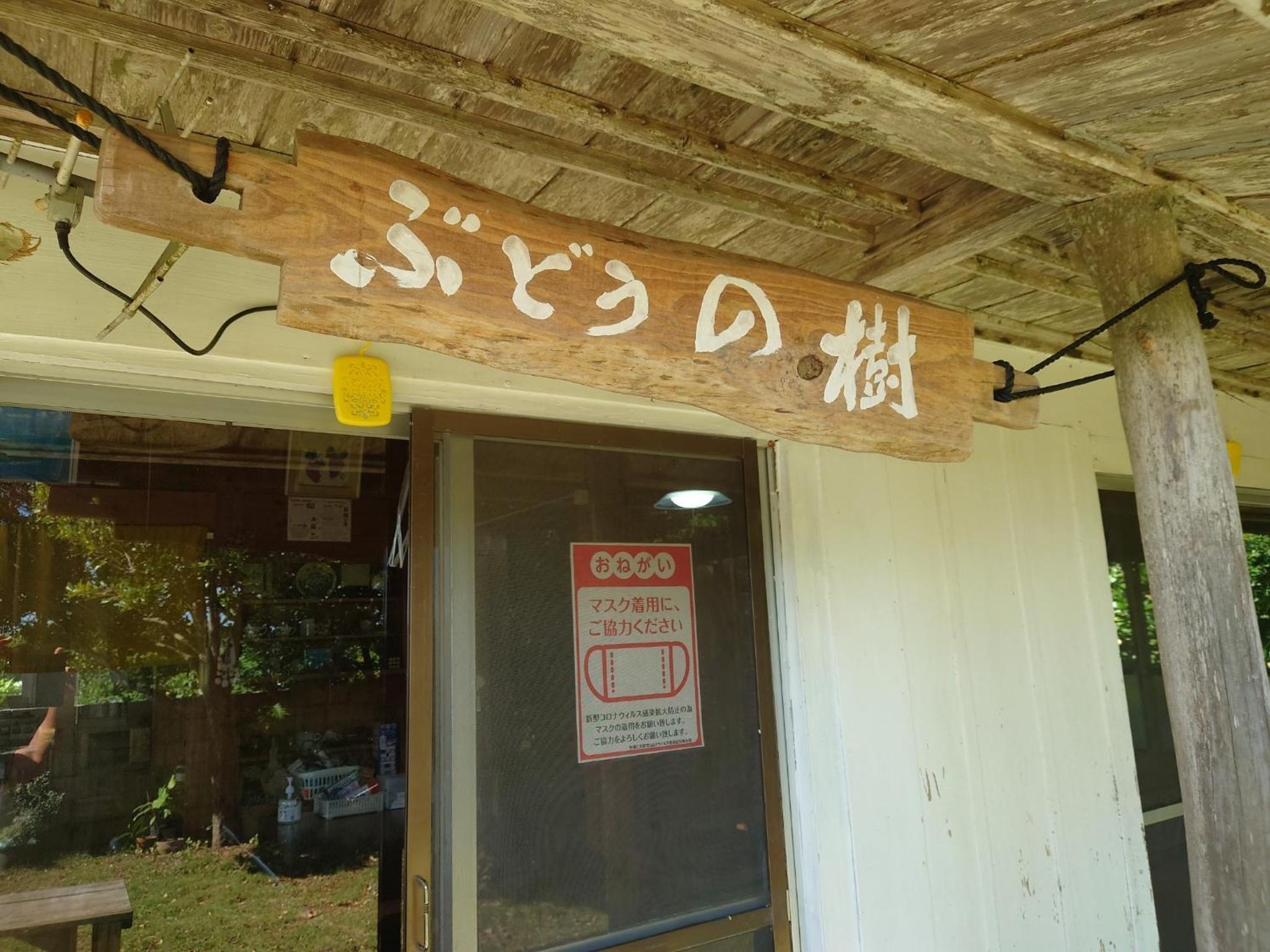 KOURIJIMA Budonoki - Vacation STAY 12237v view 3
