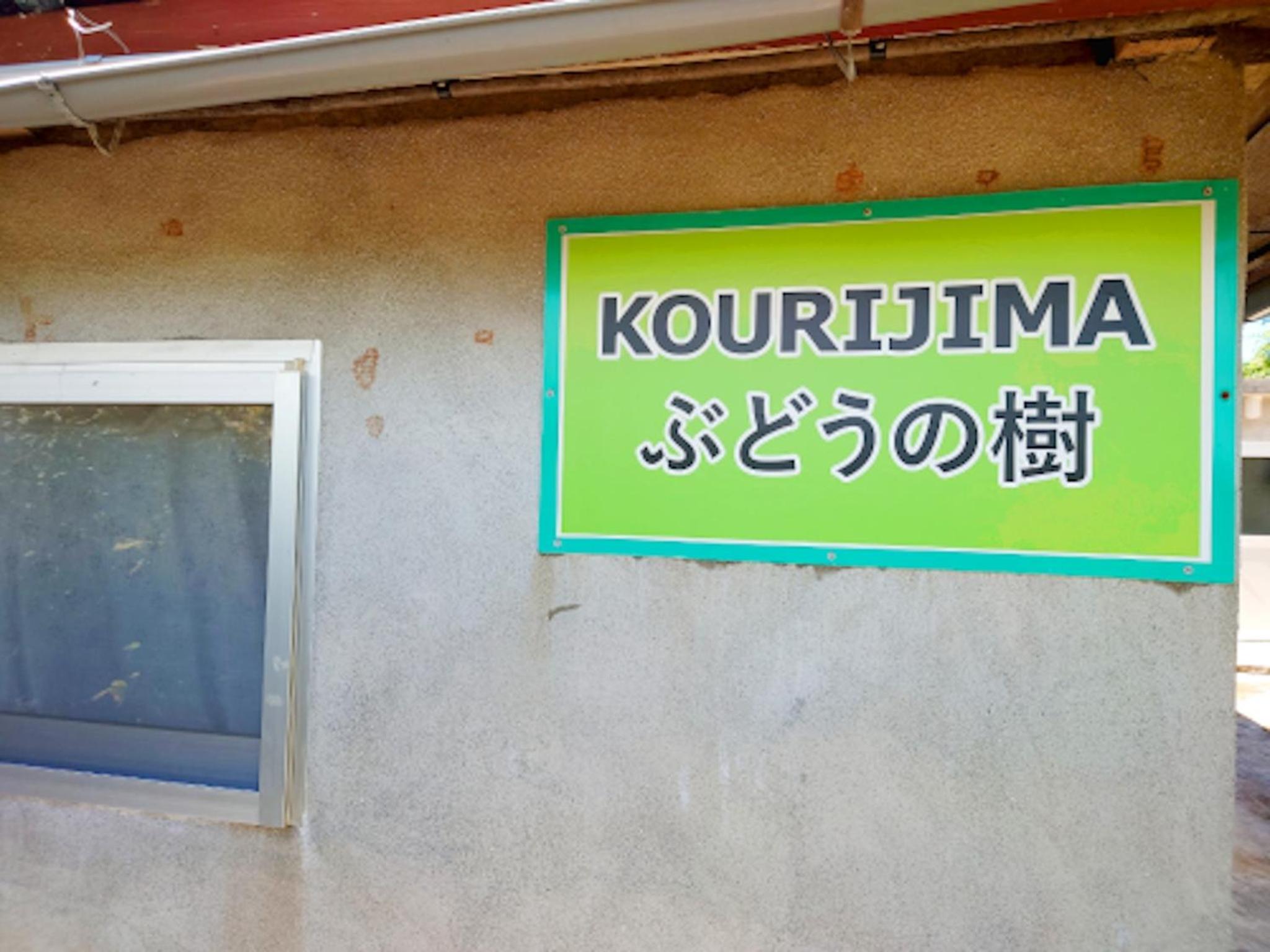 KOURIJIMA Budonoki - Vacation STAY 12237v view 4