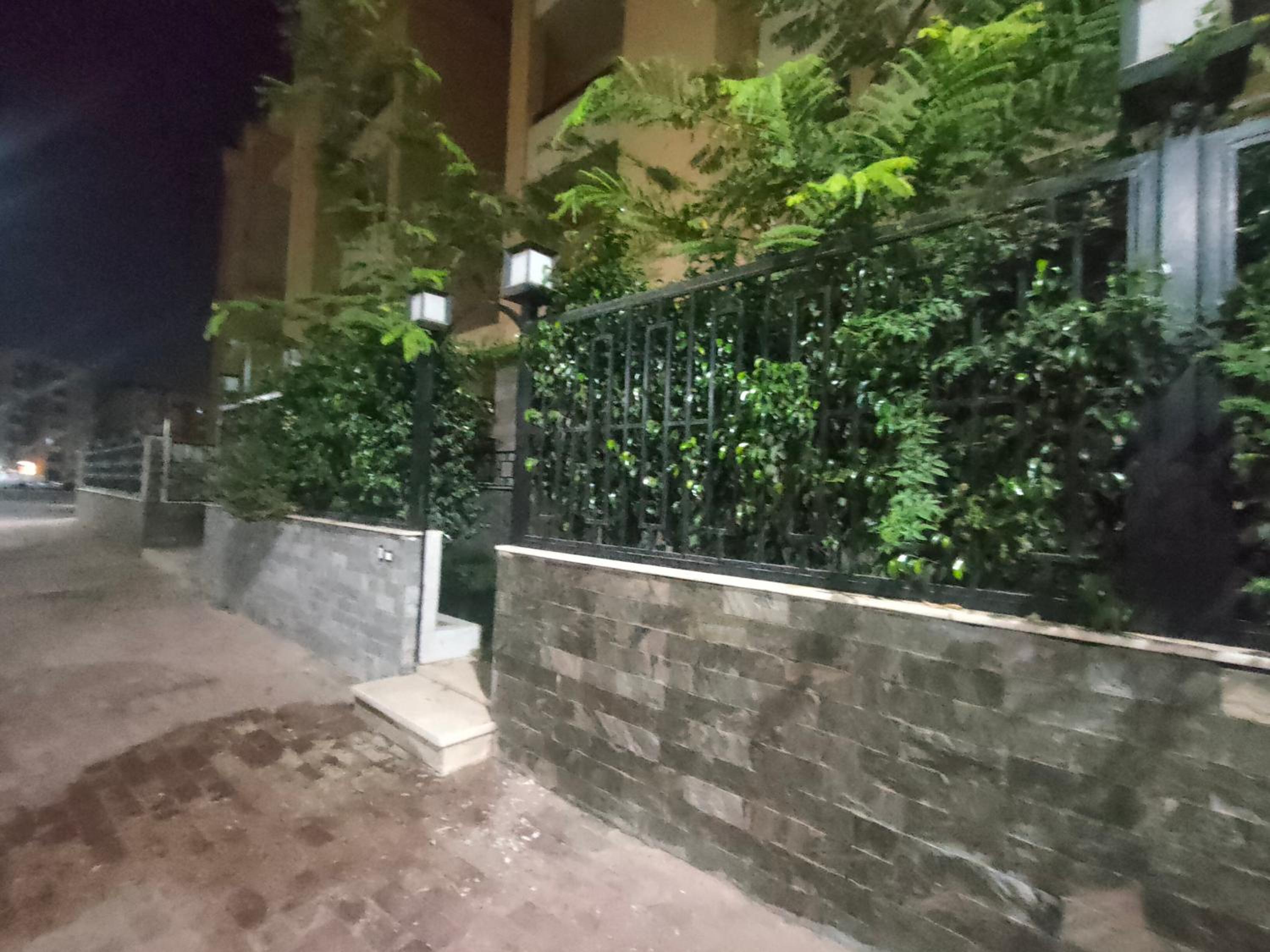 younan house