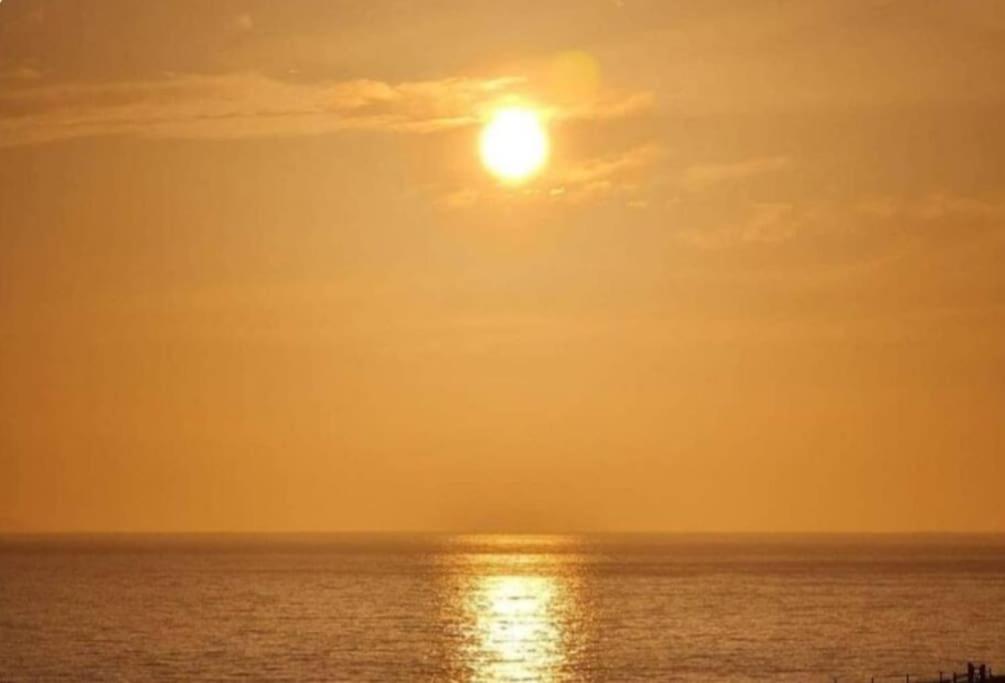 Beachfront Entire Brighton Flat Dog Friendly! view 5