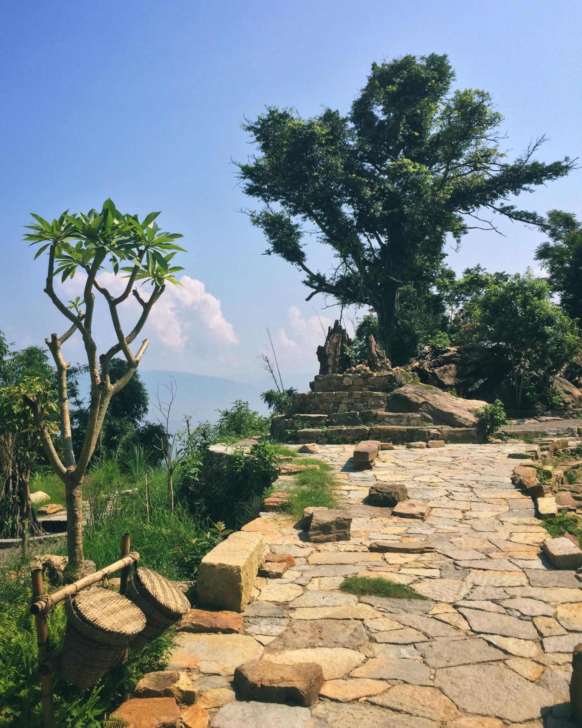Vinetree Honghegu Tented Resort