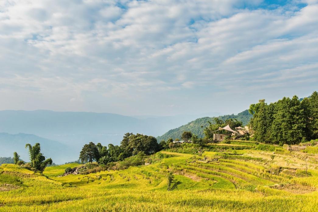 Vinetree Honghegu Tented Resort