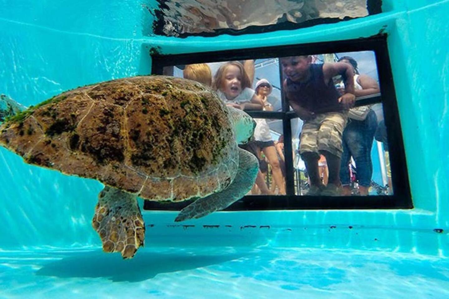 Gardens Getaway - A Family Retreat - Property Image 54