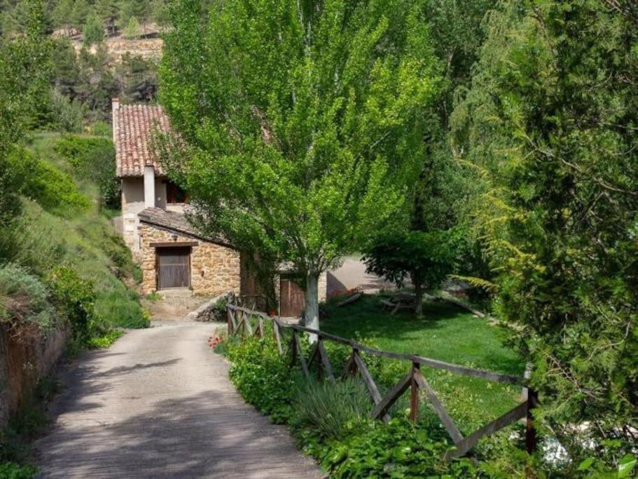 El Molí Nou - Rural flats view 3