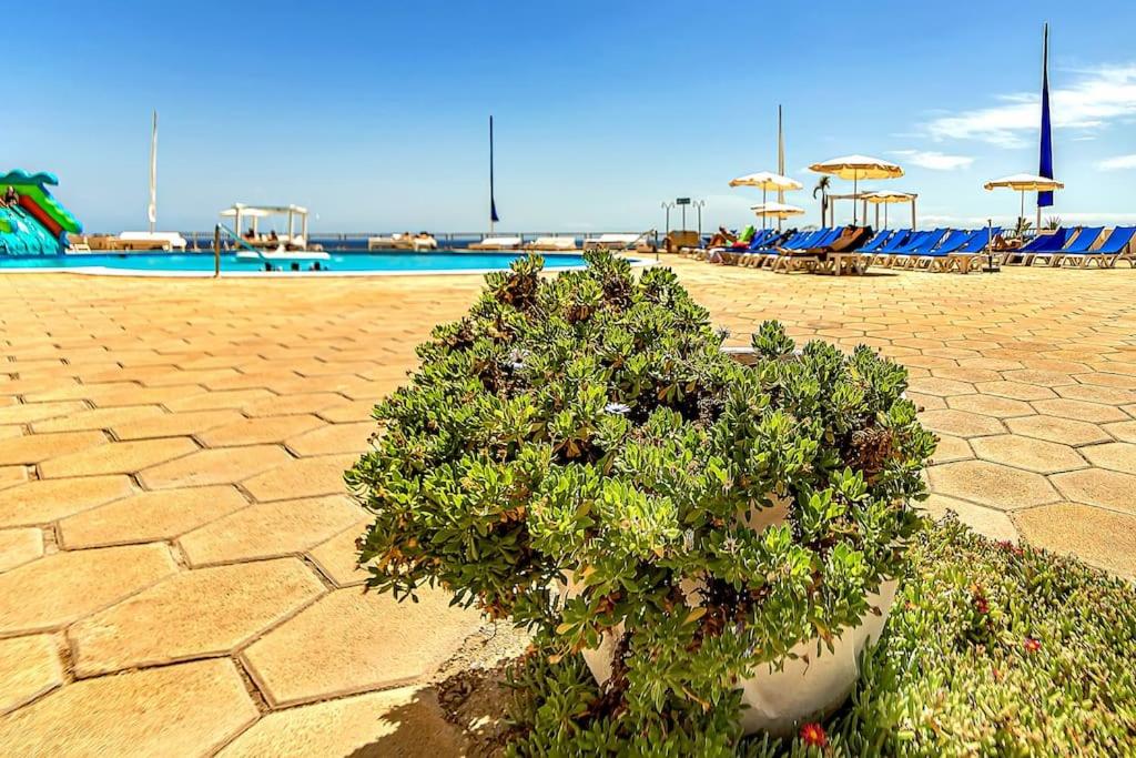 Ocean Breeze Apartments