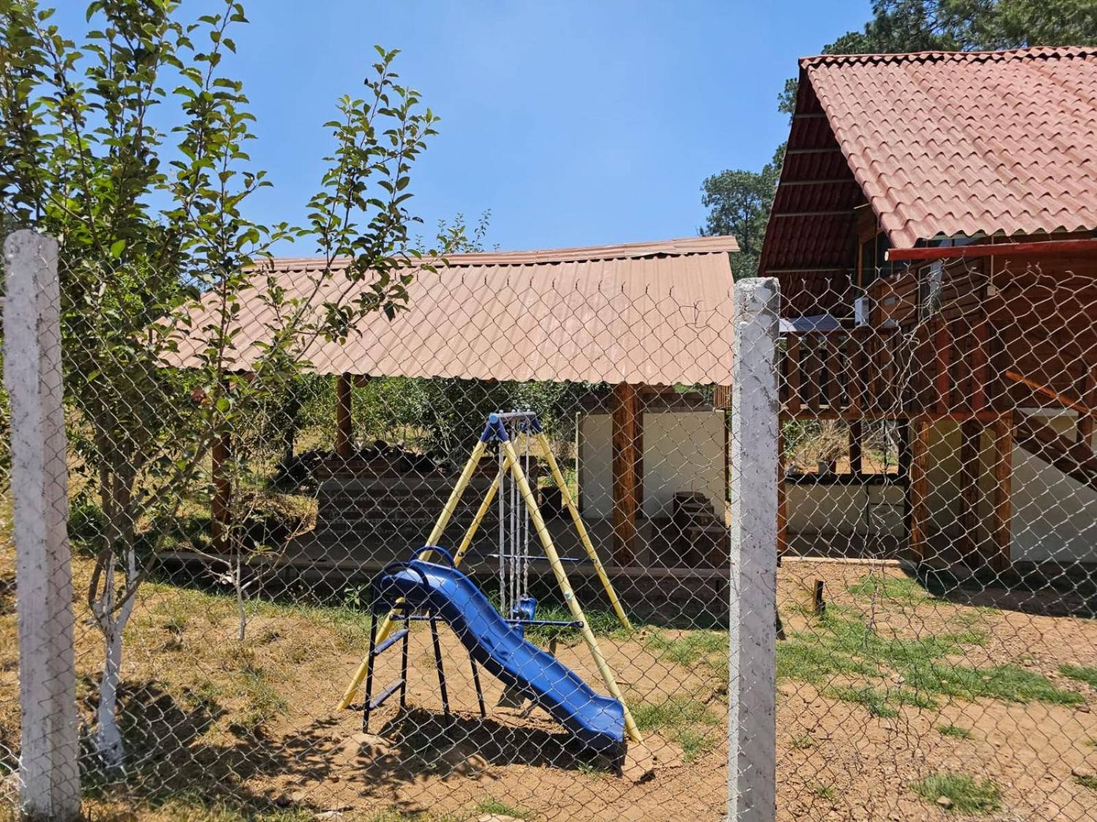 Photo 15
