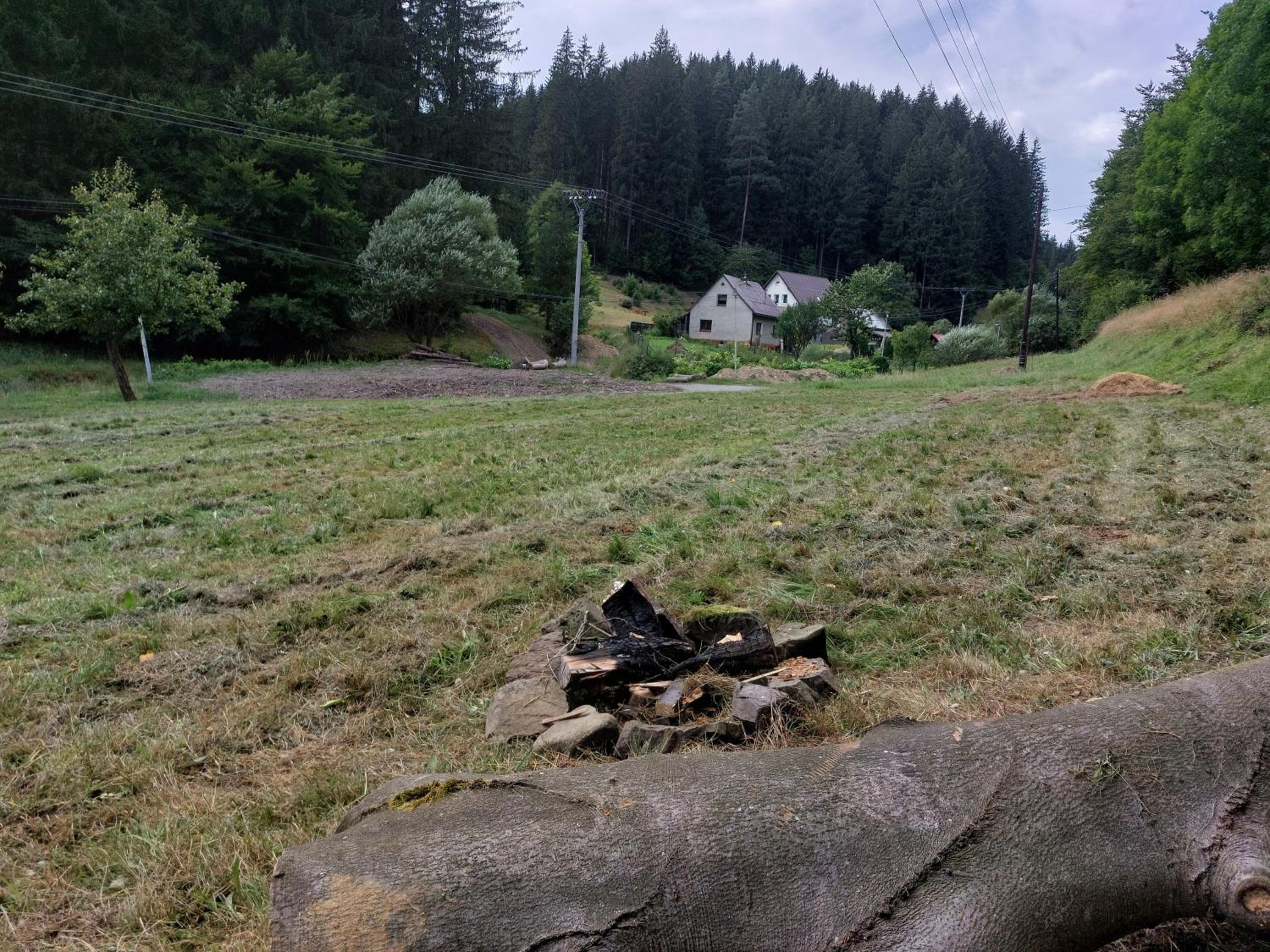 Only Meadow - place for camping view 3