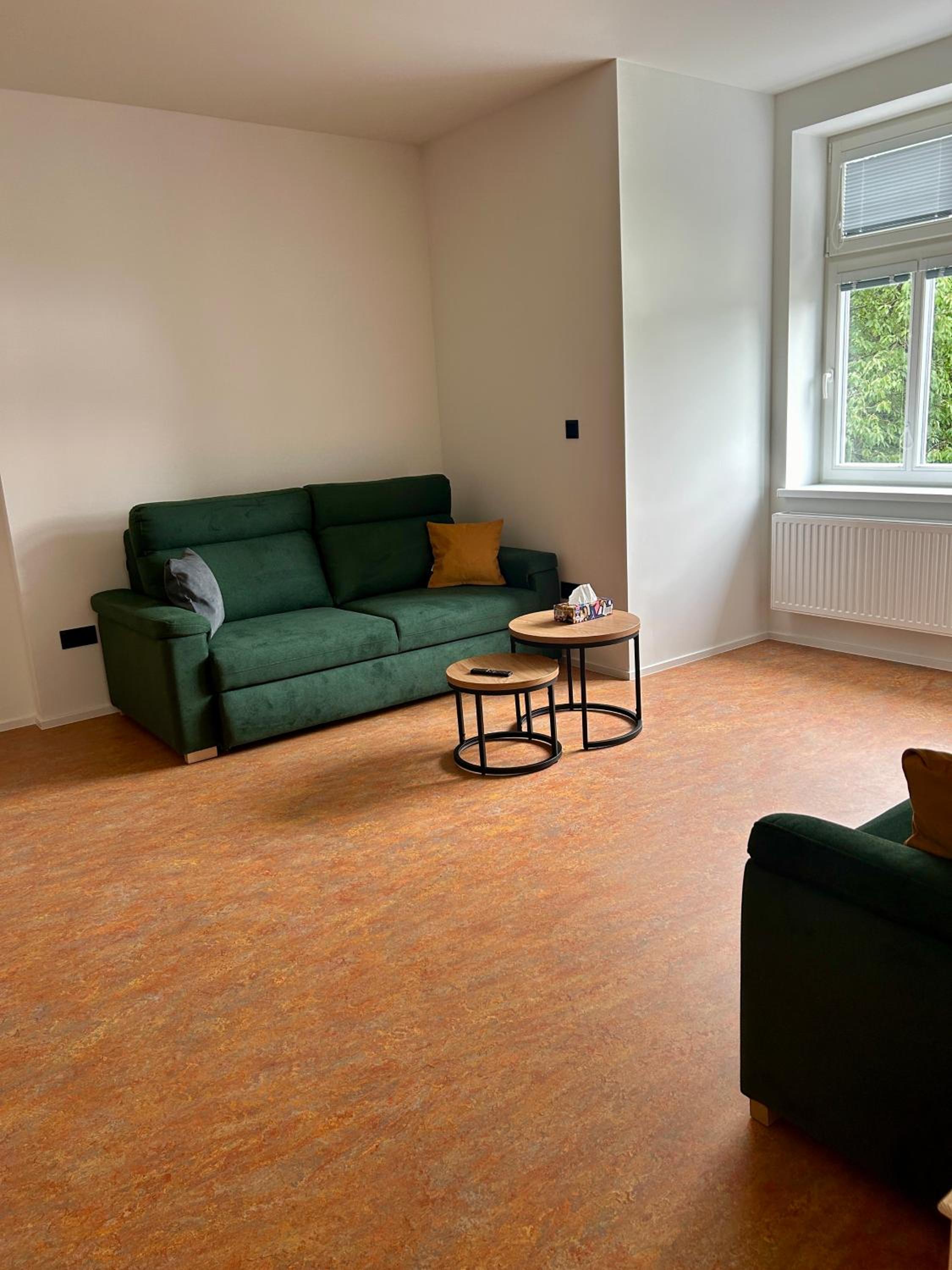 Vila Silva Karlova Studánka