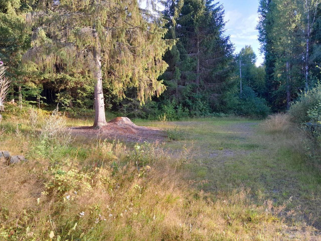 Rauhallinen mökki
