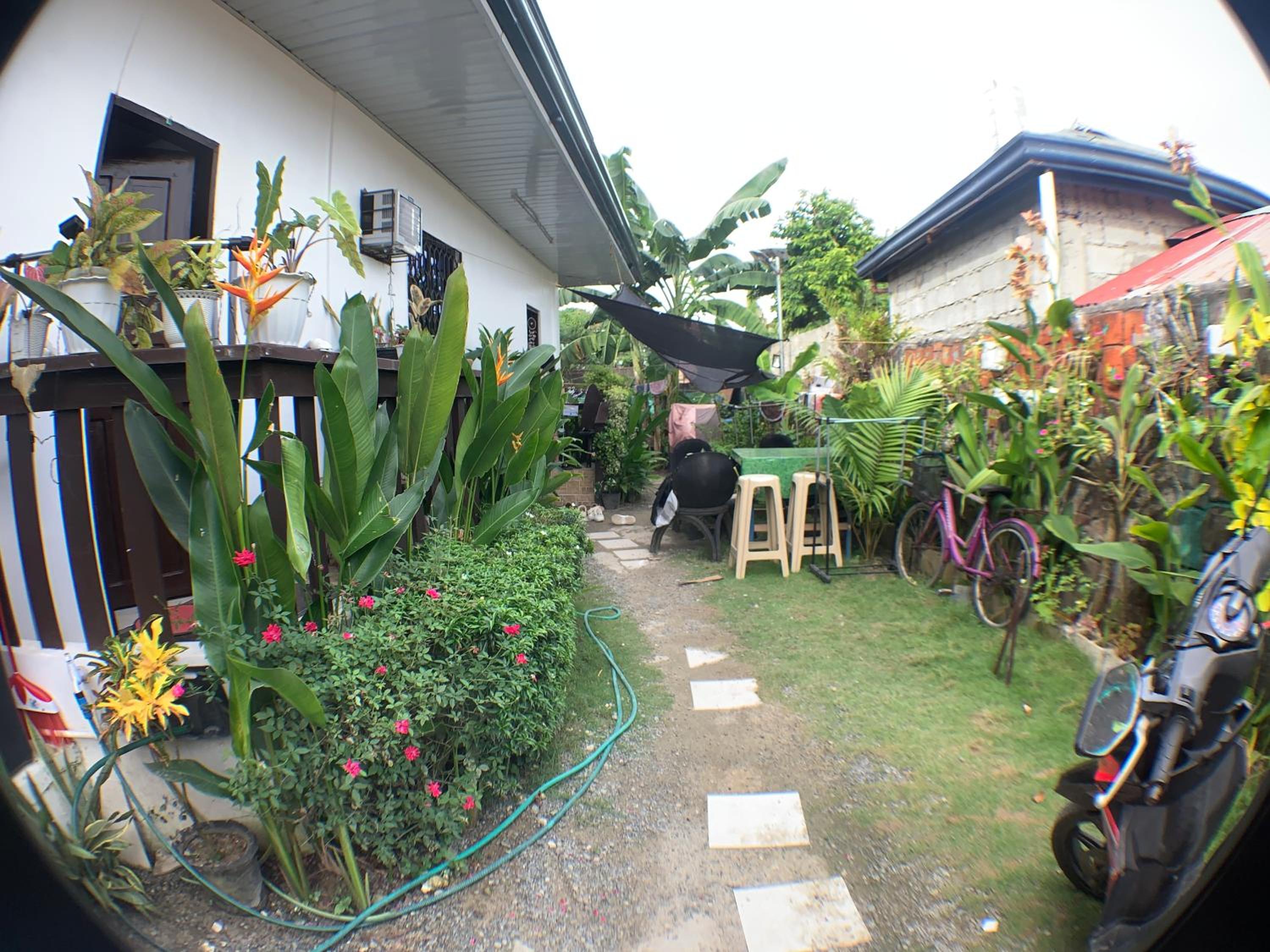 Photo 8