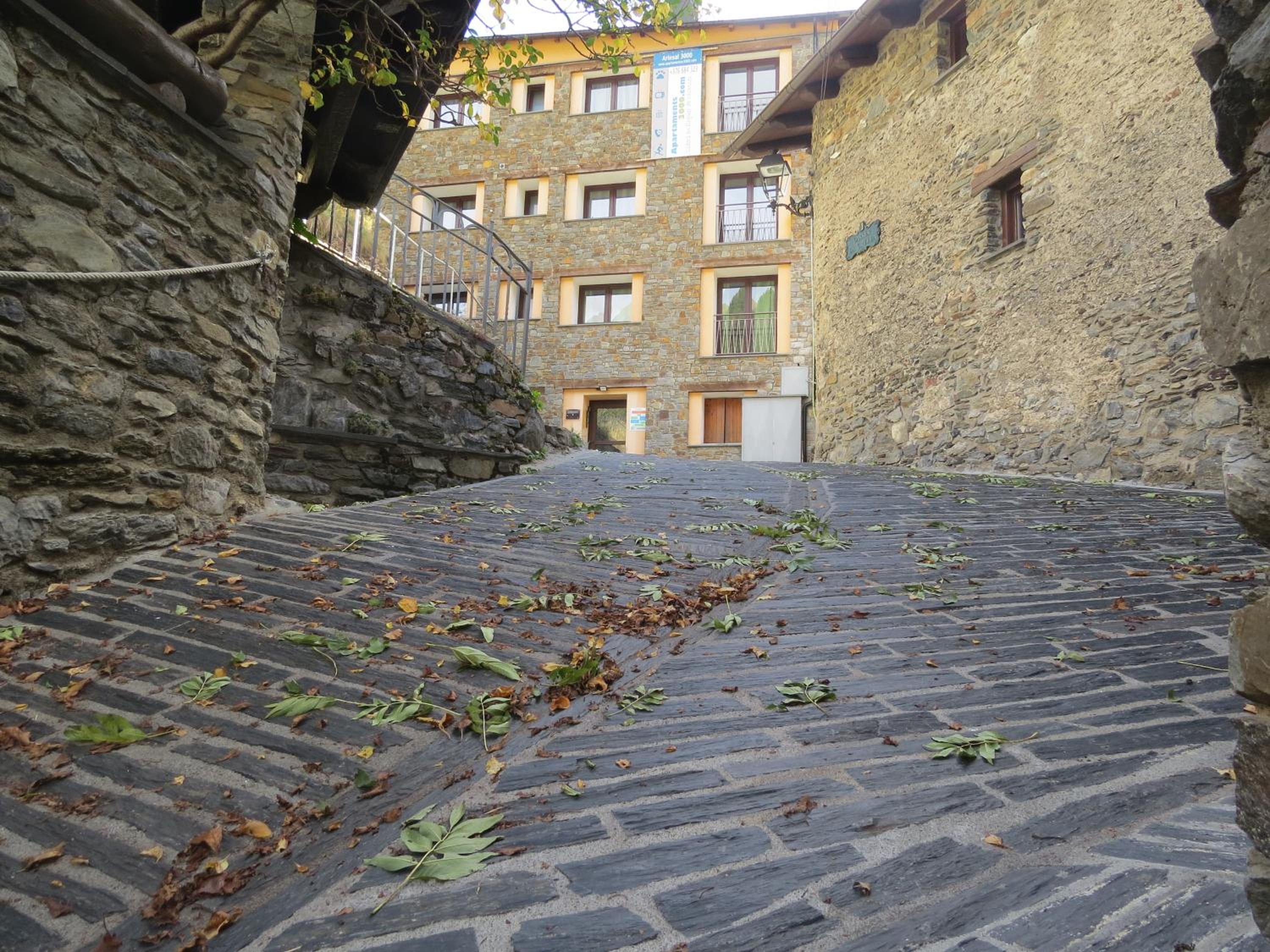 Apartamentos Arinsal 3000