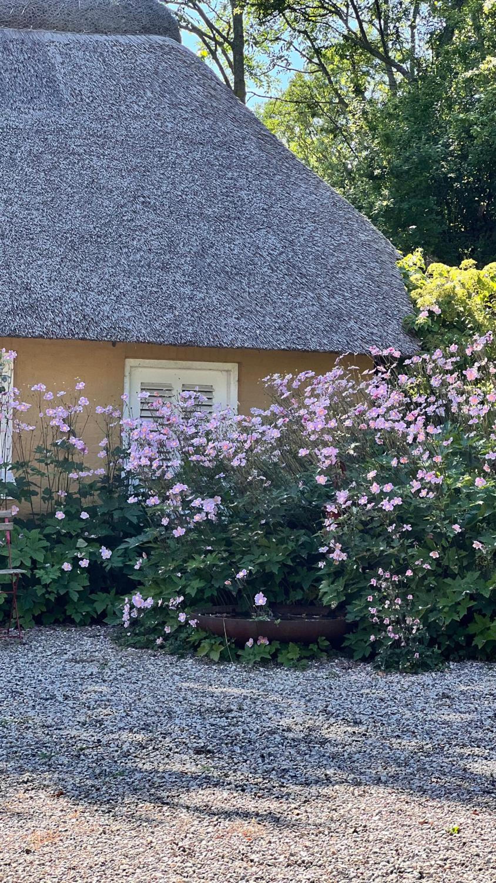 Bakkehuset Countryhouse